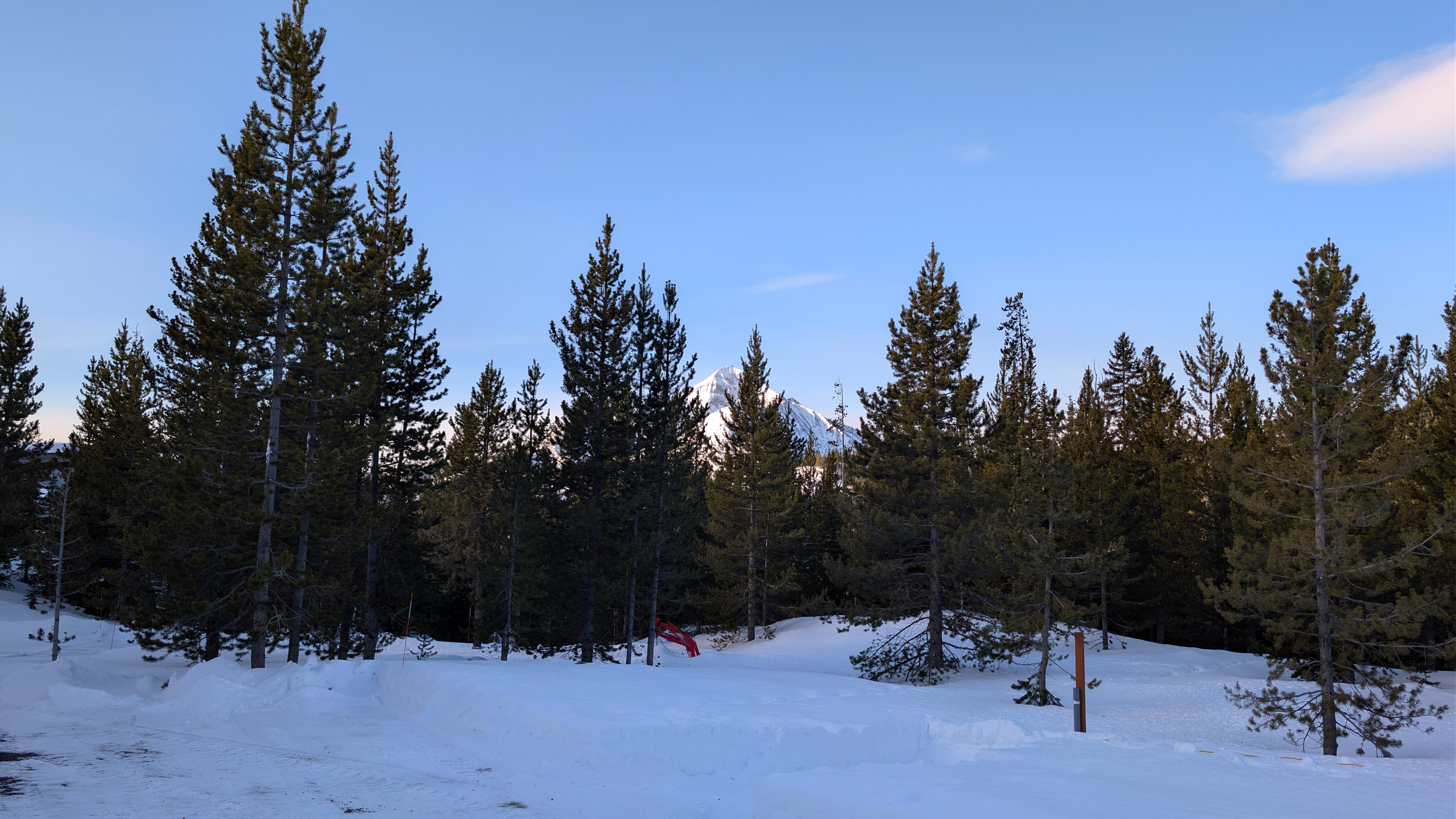 View from site 