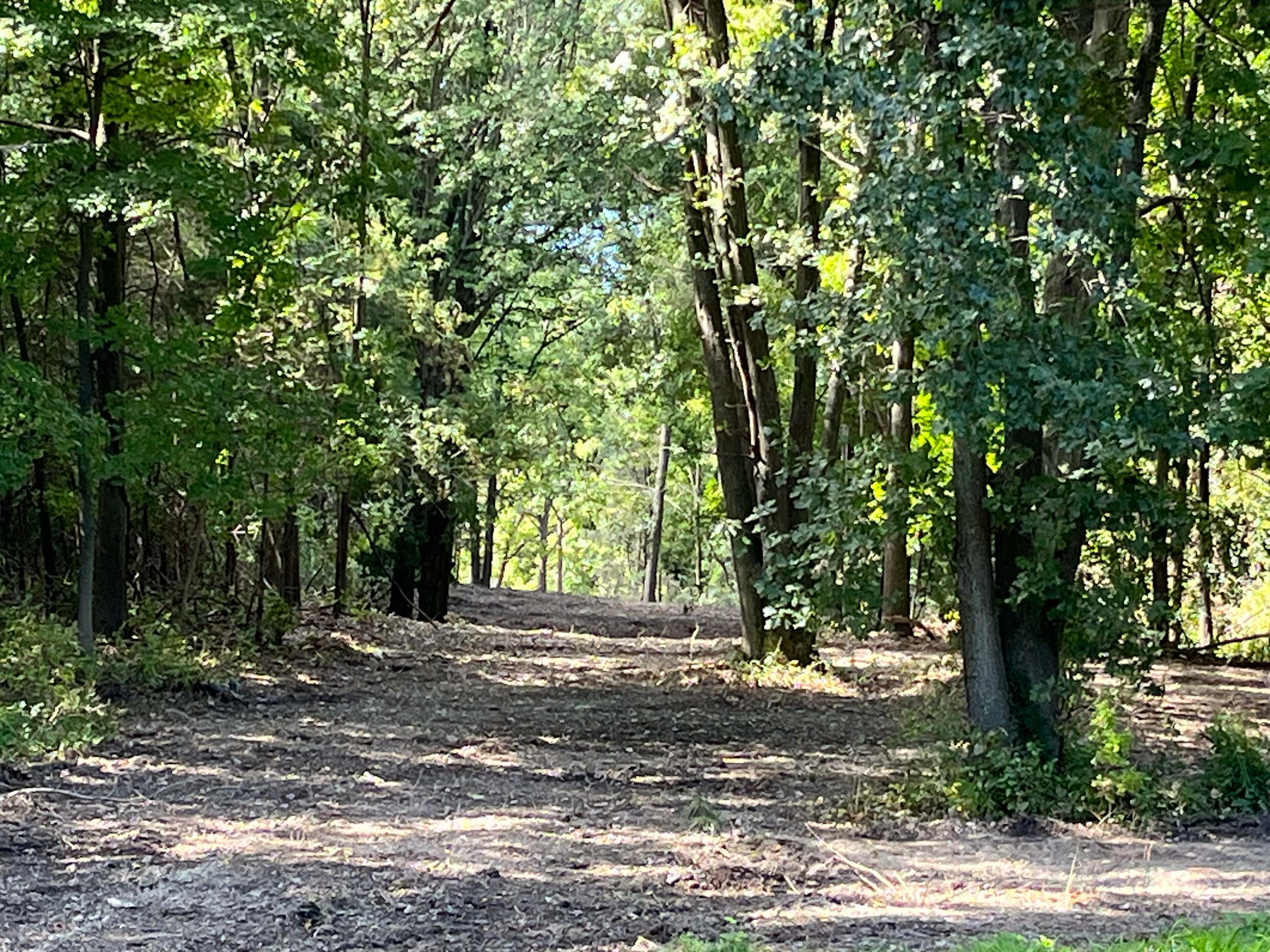 Seneca Lake Wine Trail Land