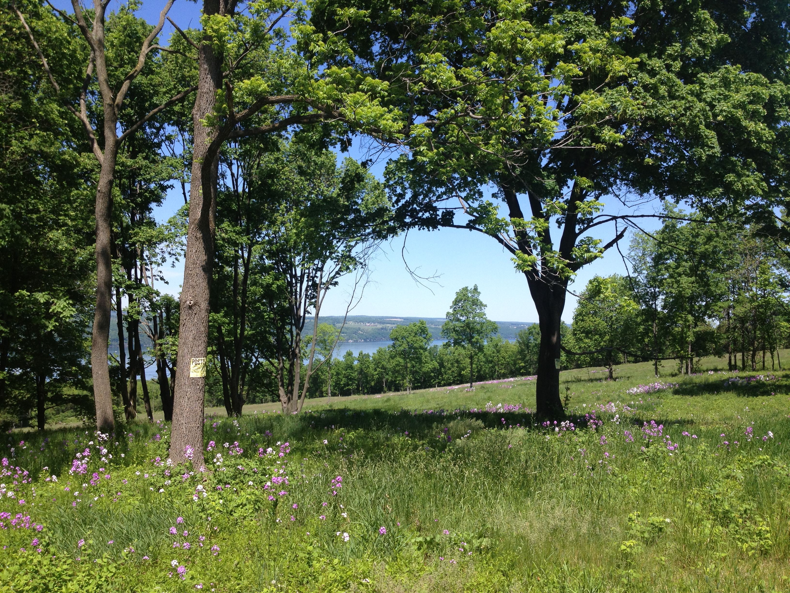 Seneca Lake Wine Trail Land