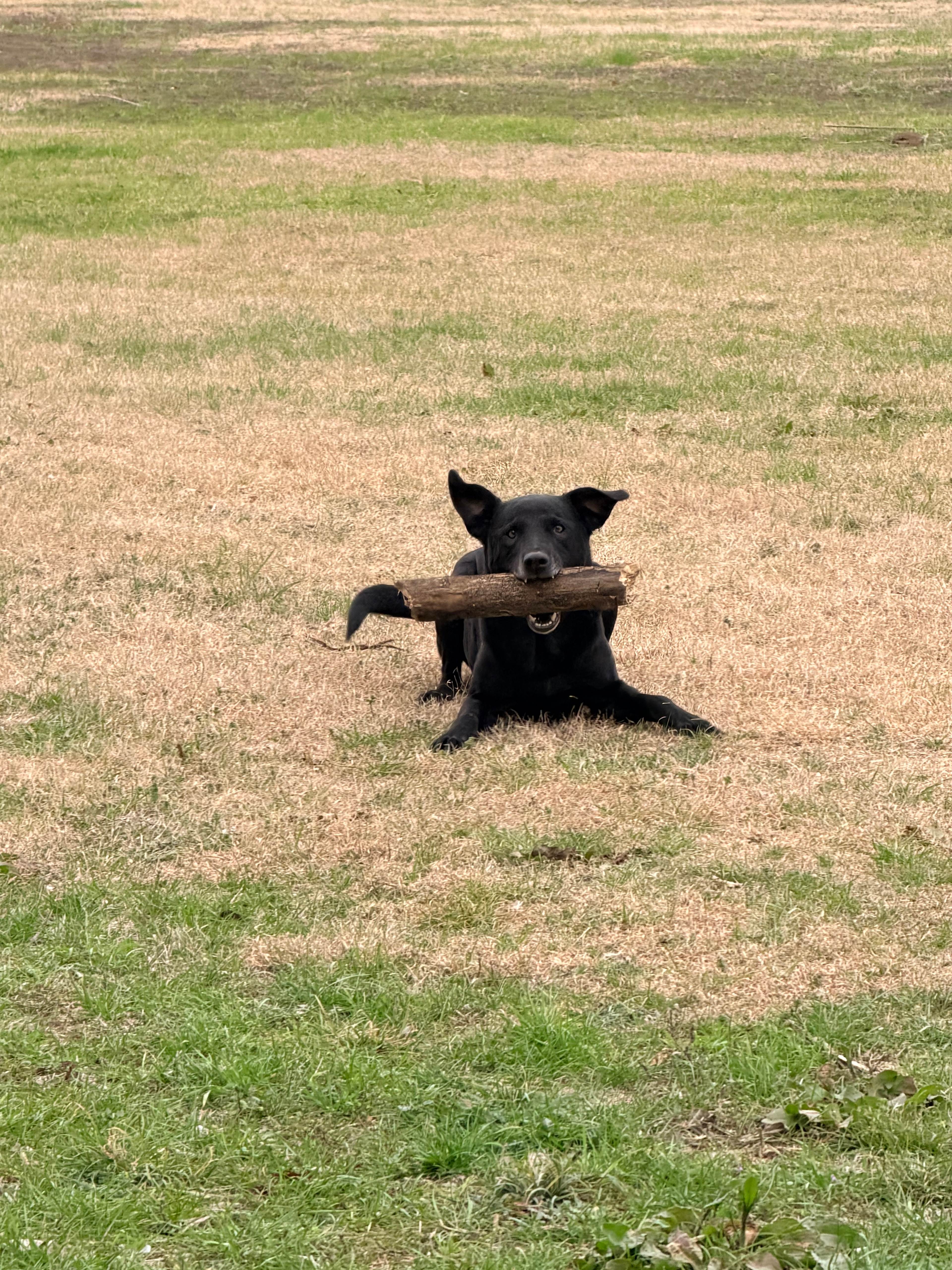 Wild 2 Wonderful Ranch