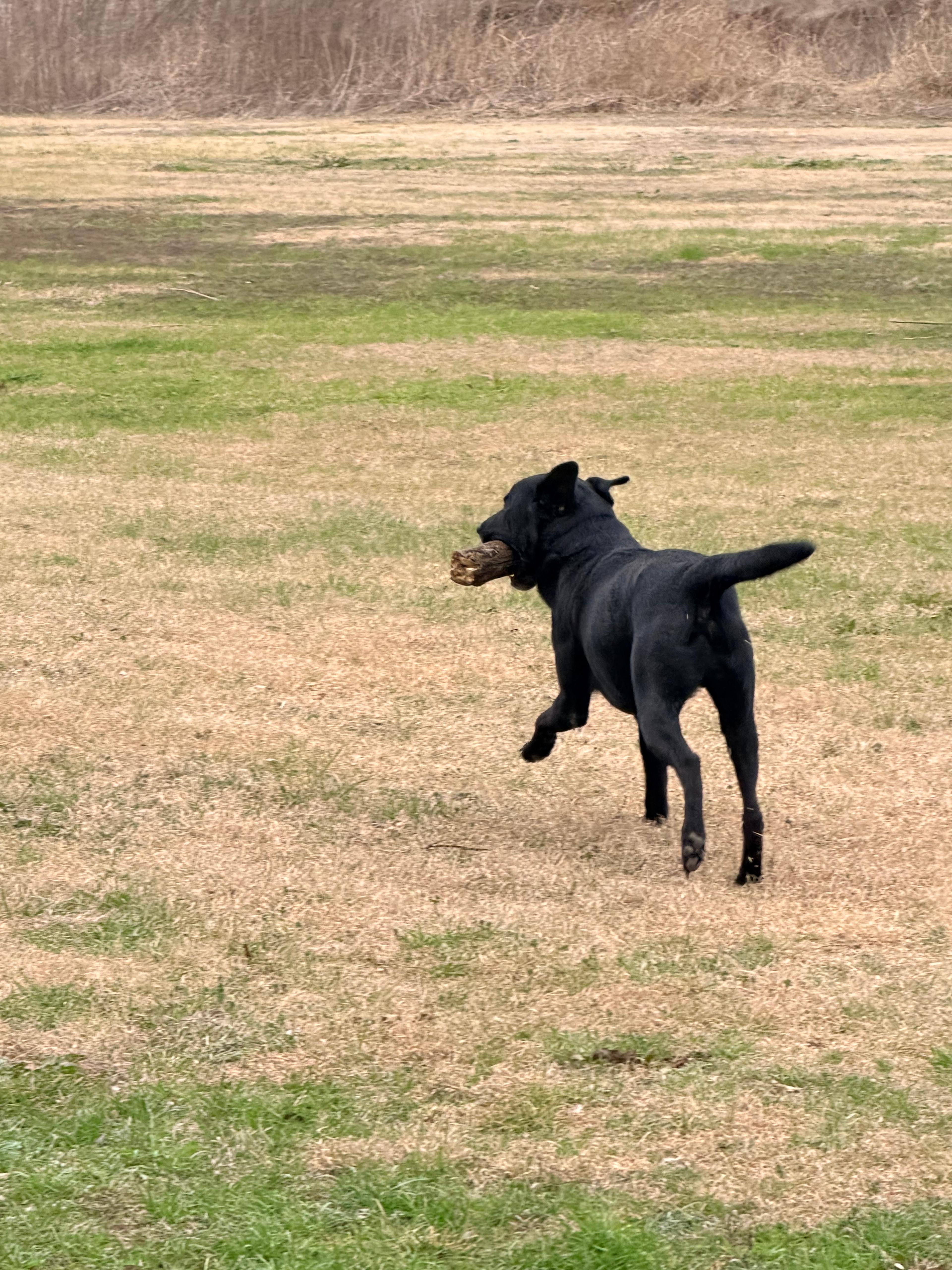 Wild 2 Wonderful Ranch