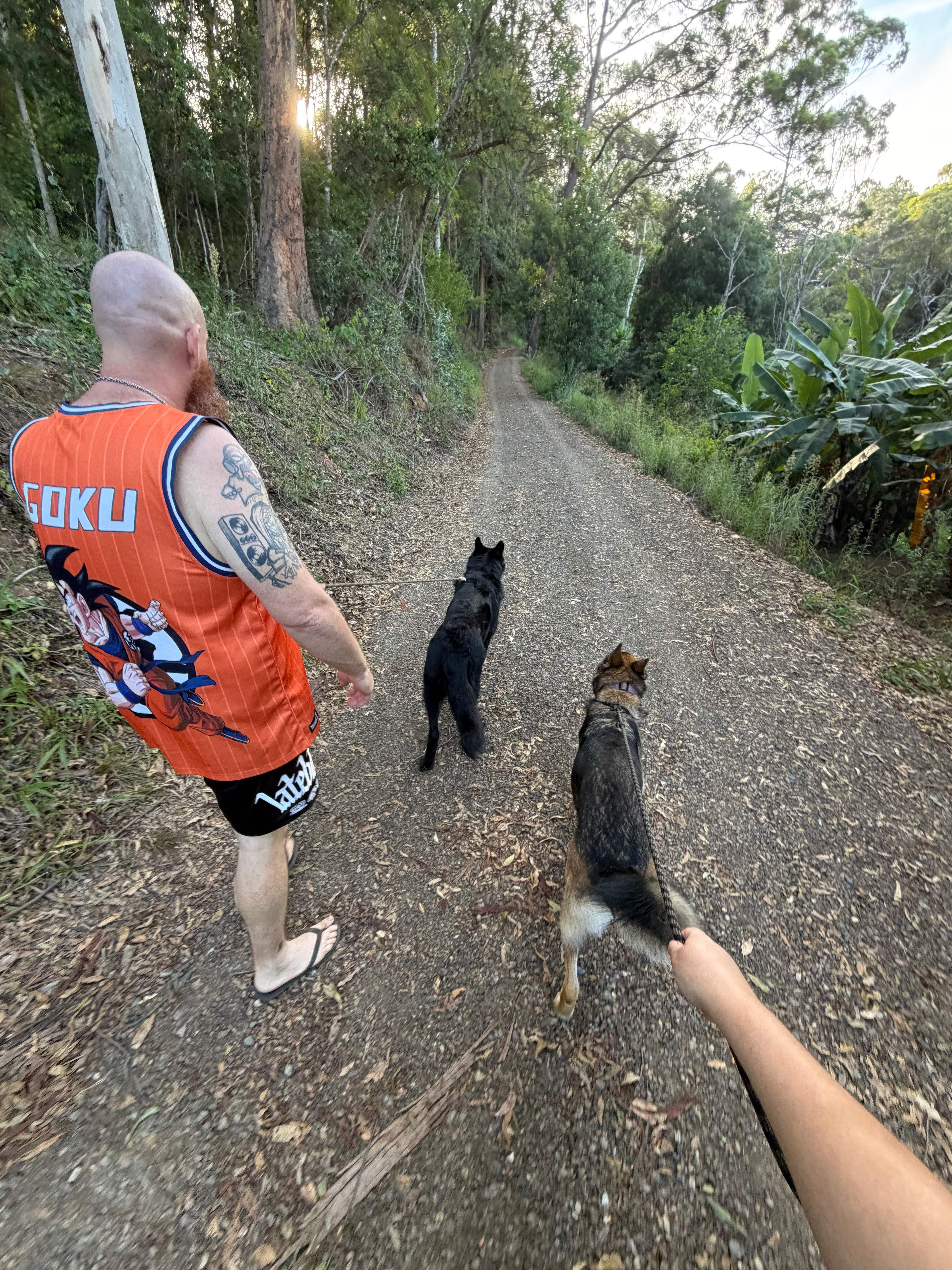 Sustainable Secluded Forestry Camp