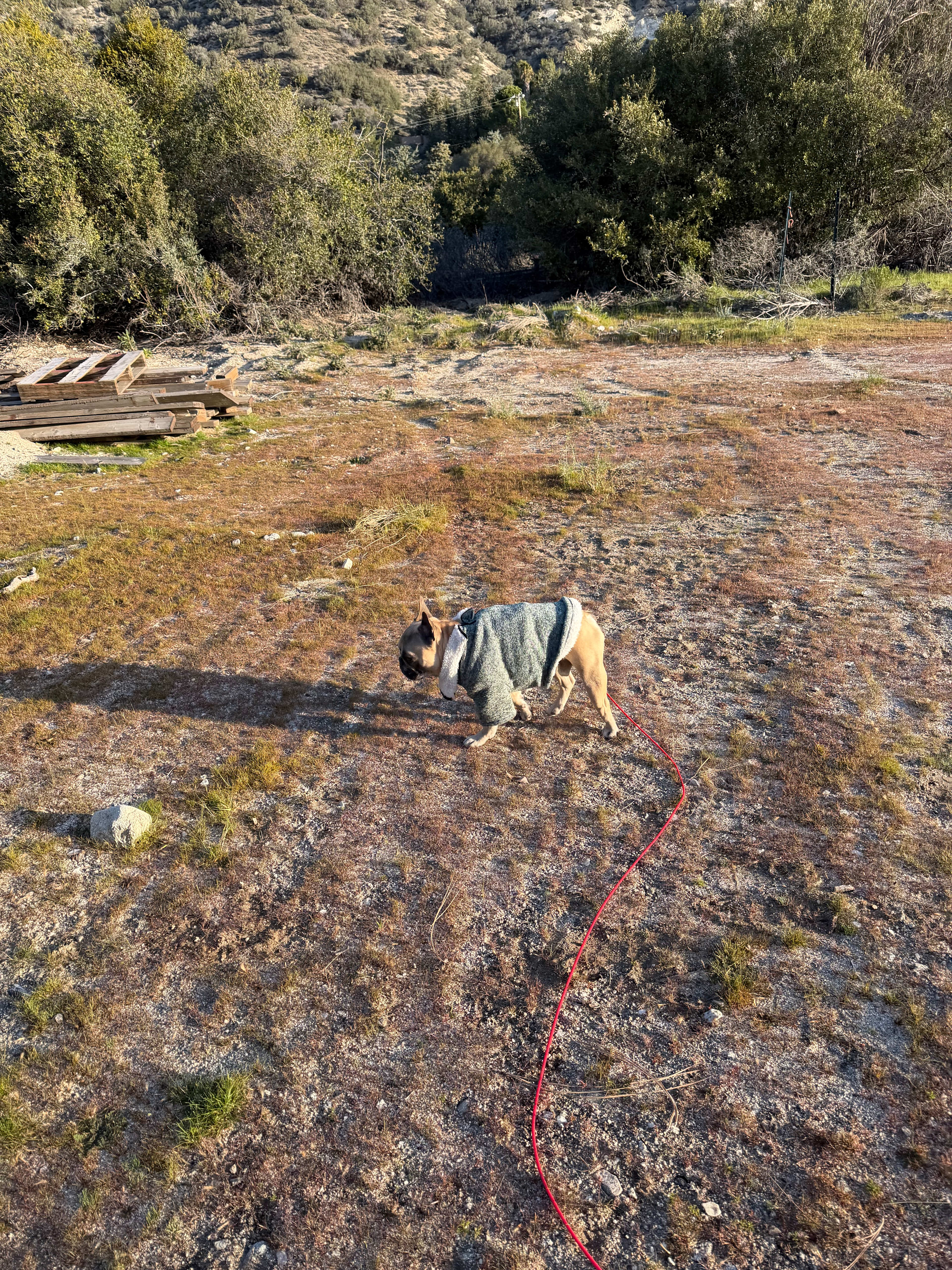 Camping @ Quail Run Ostrich Ranch