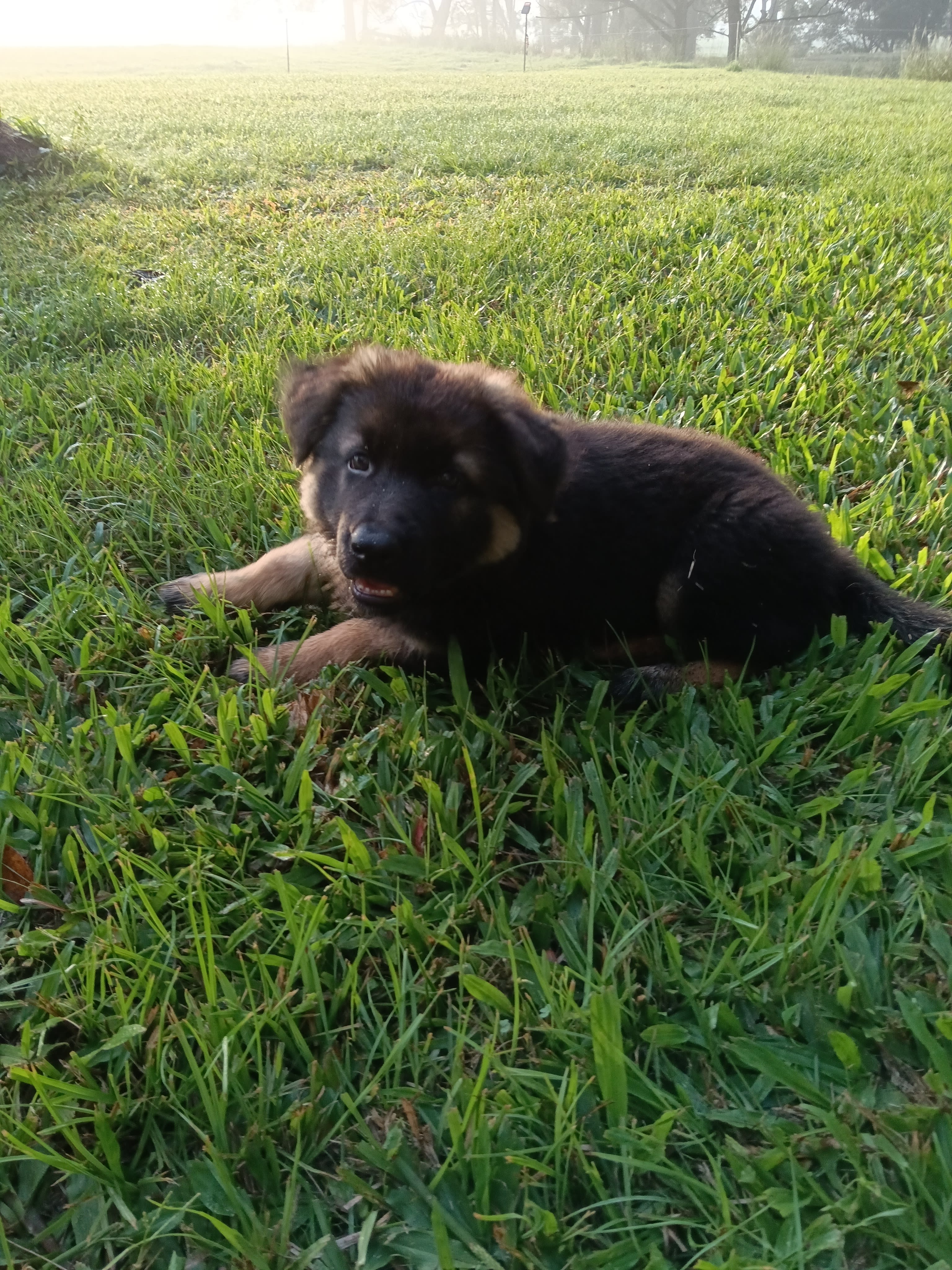Tweed Valley Westbury Farm