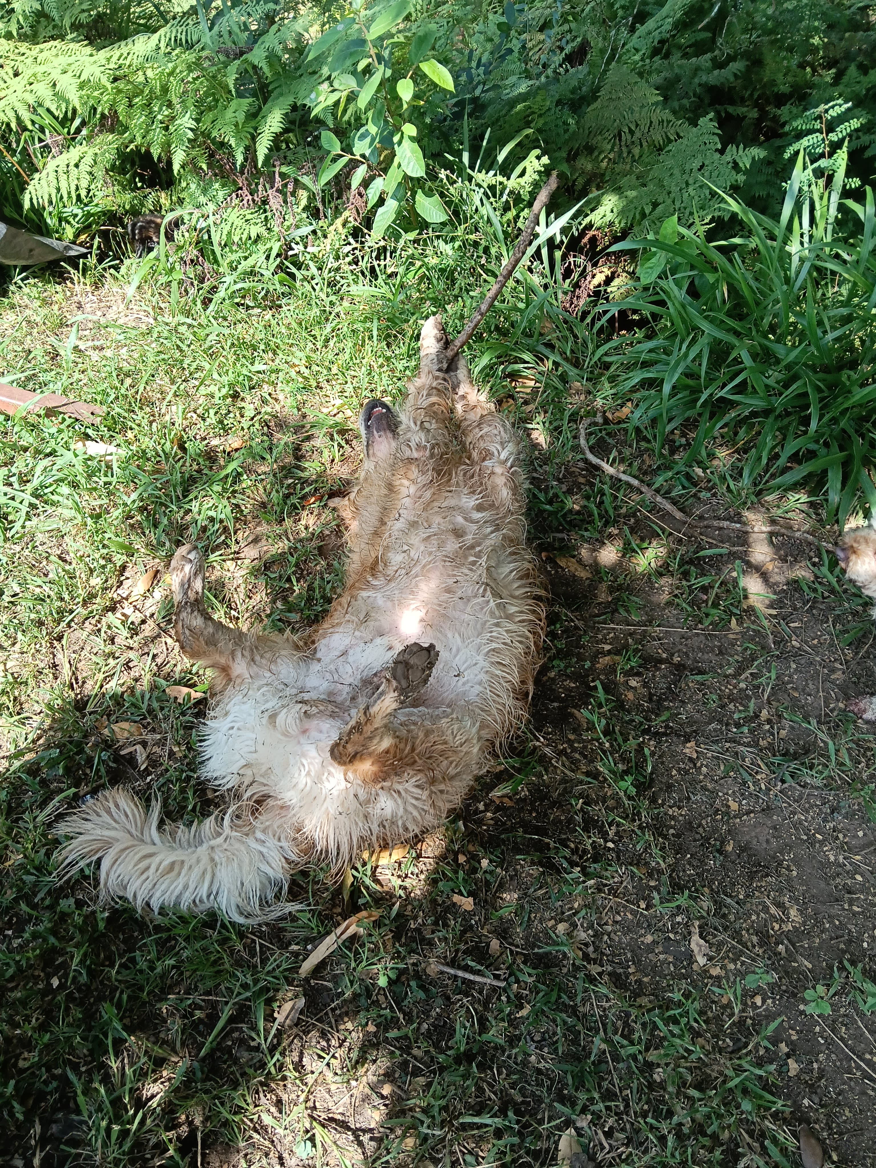 Tweed Valley Westbury Farm