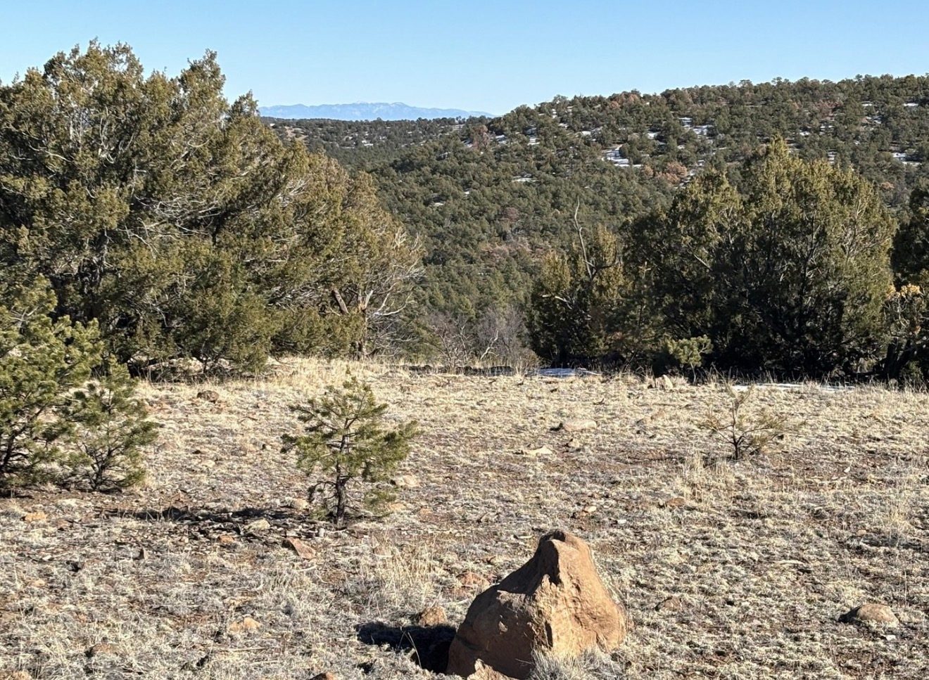 Gila Edge Off-Grid Oasis