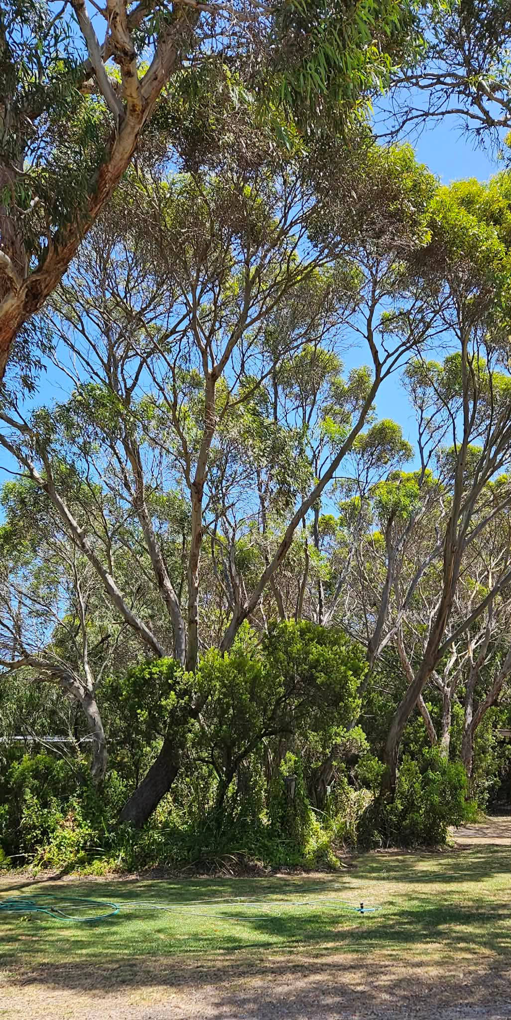 Lake Saint Clair Nature Retreat