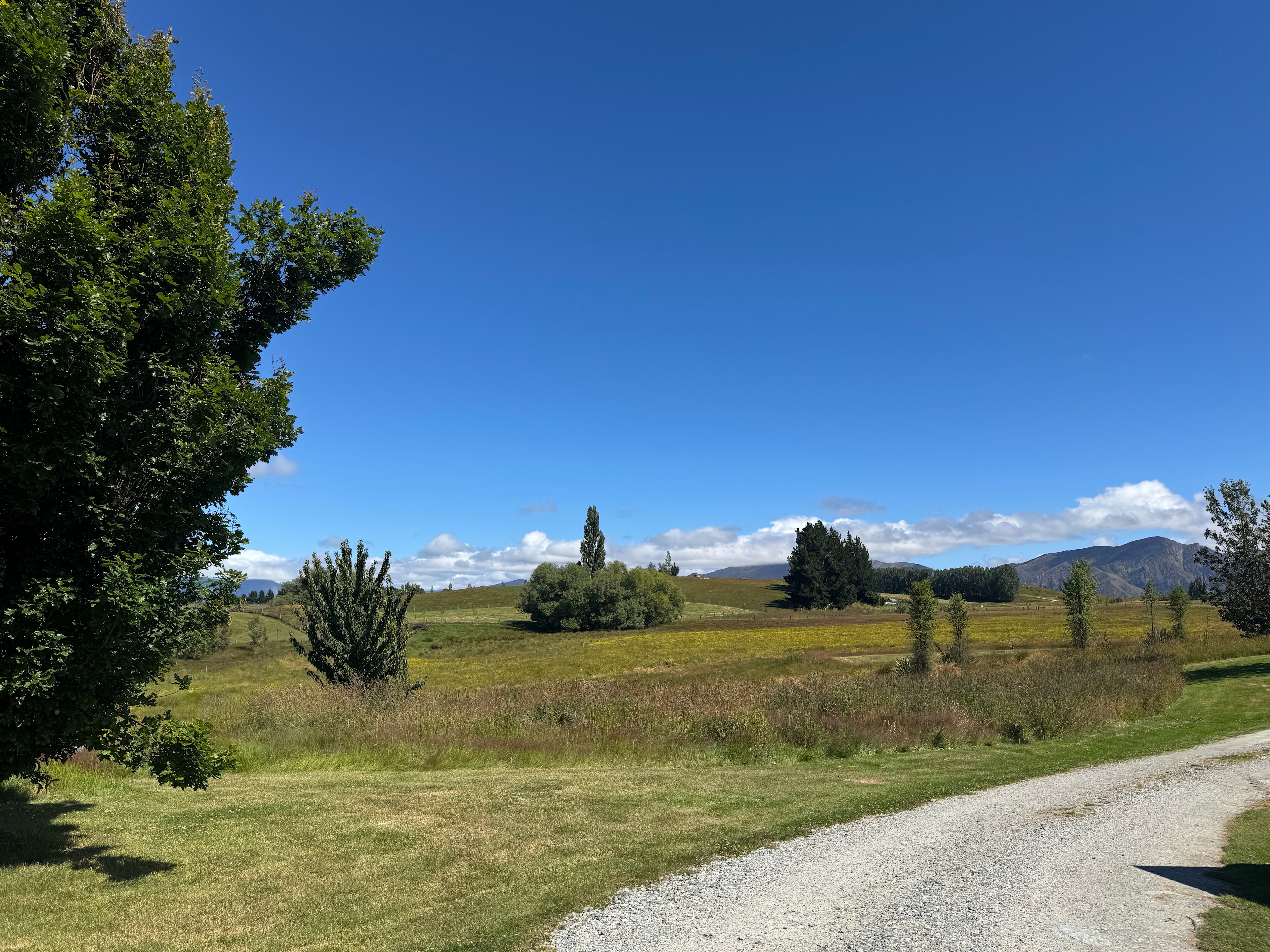Crown Terrace Panorama