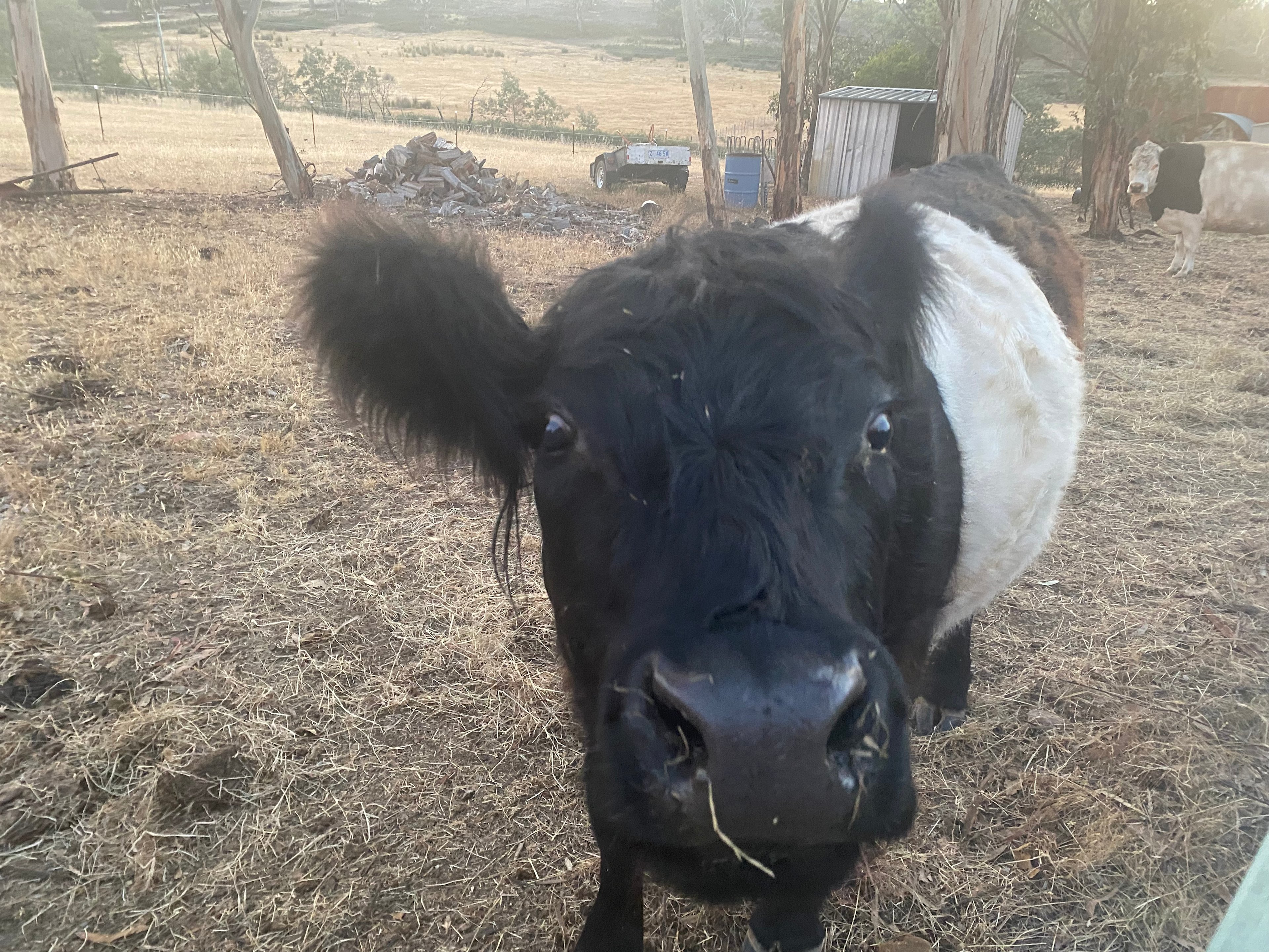 Derwent Valley Farm Stay