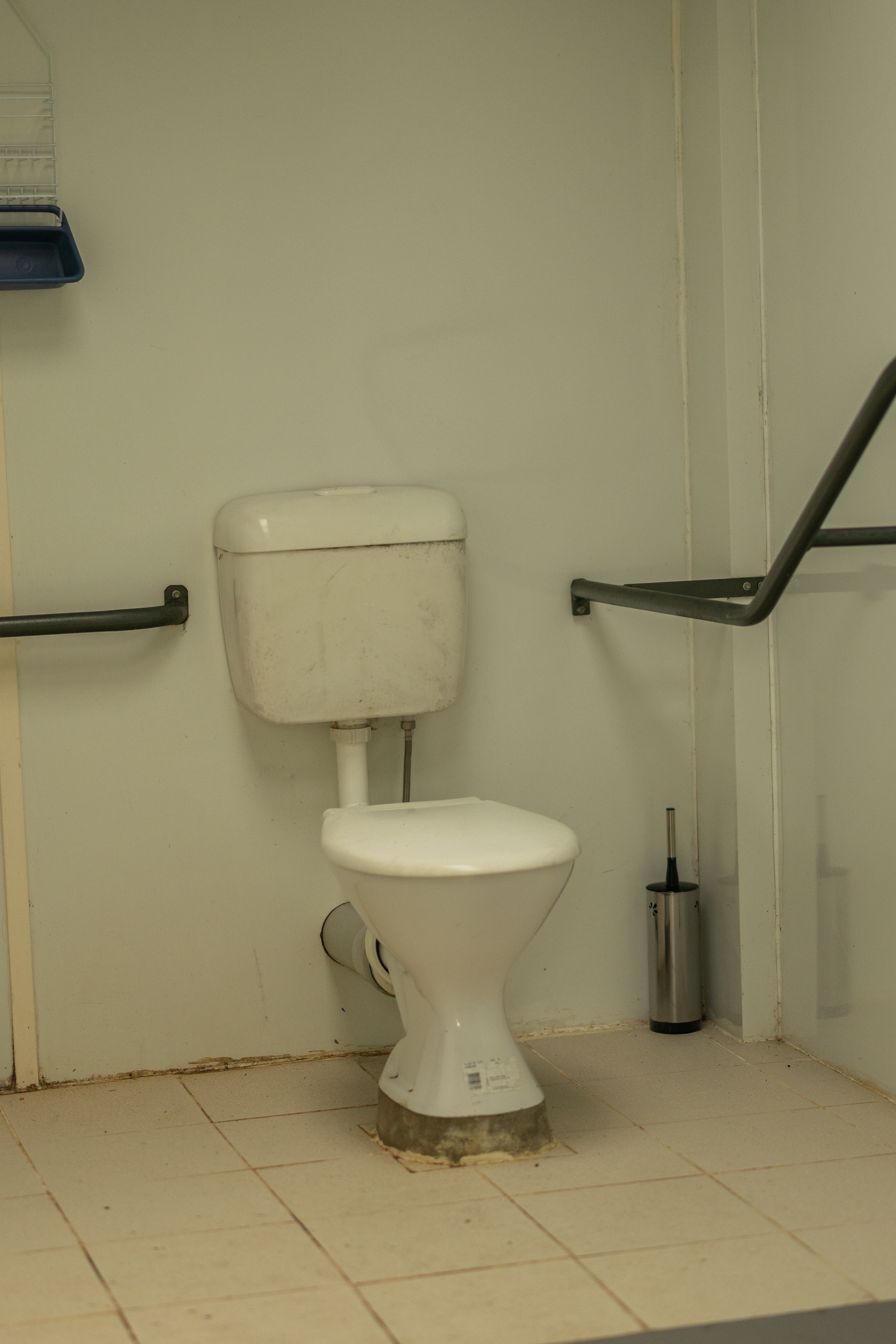 Delhuntie Park -Edens Canopy-