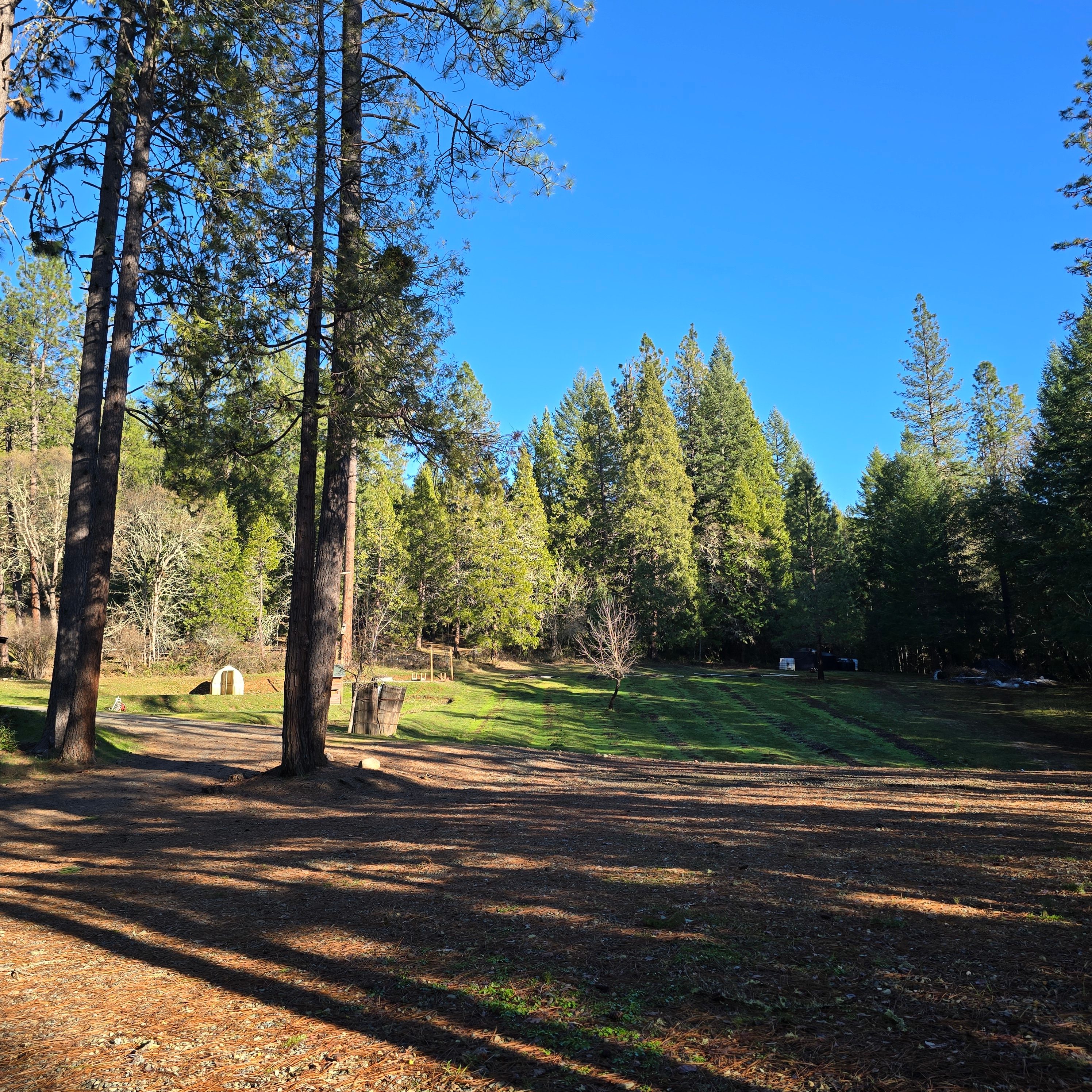 Private Pines Retreat