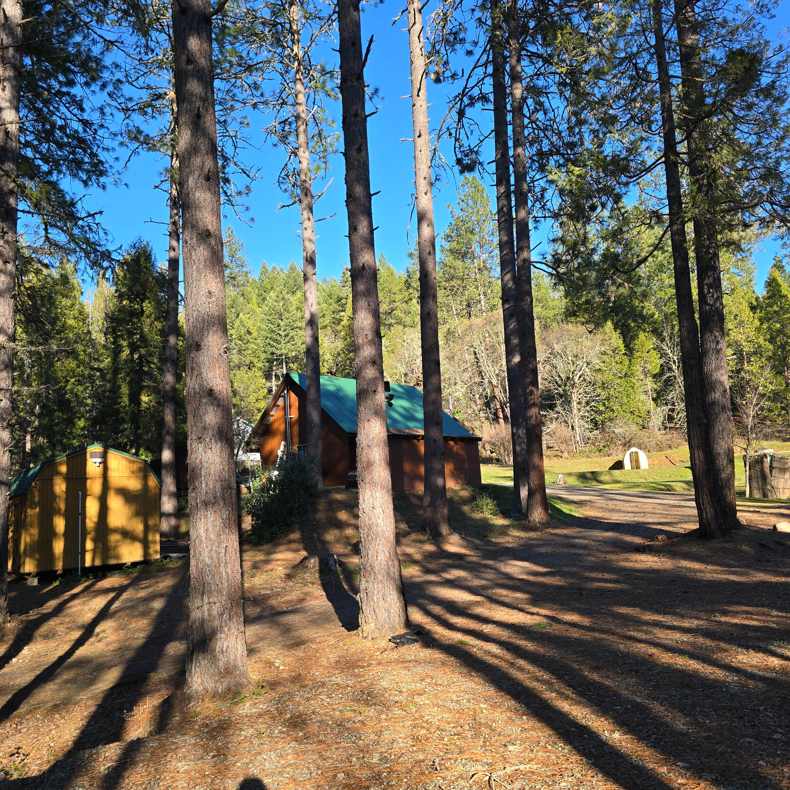 Private Pines Retreat