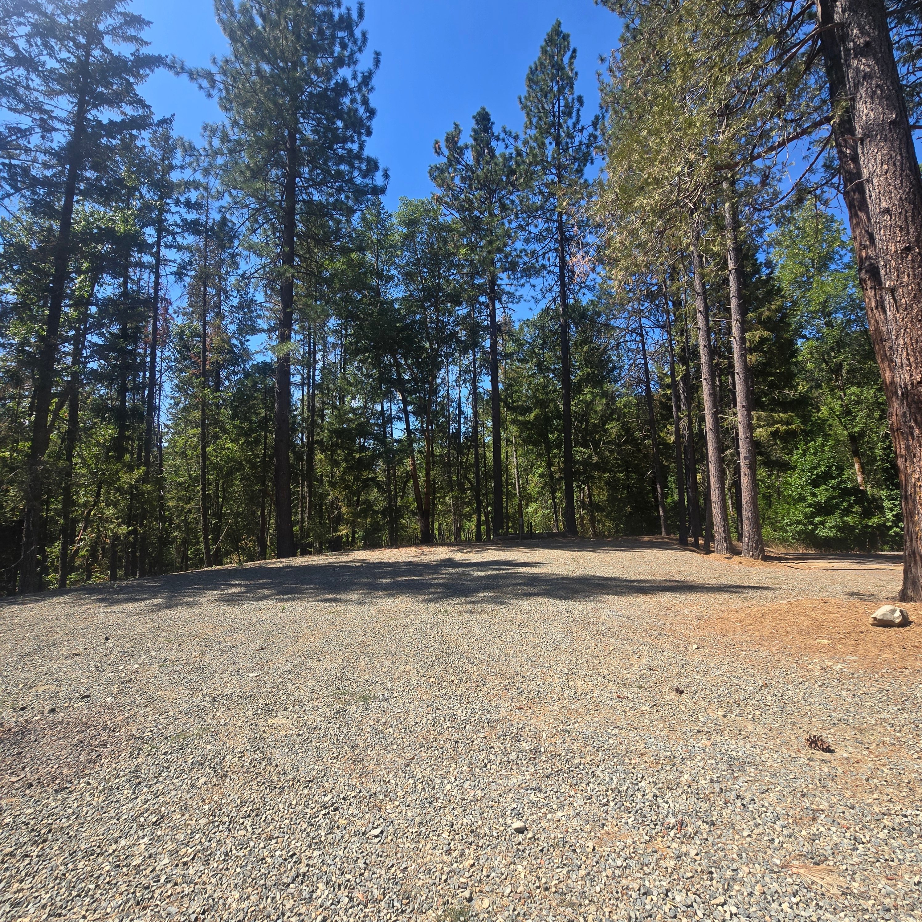 Private Pines Retreat