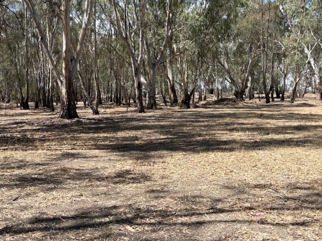 Riverview Camping