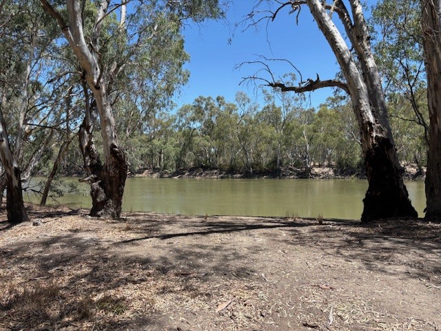 Riverview Camping