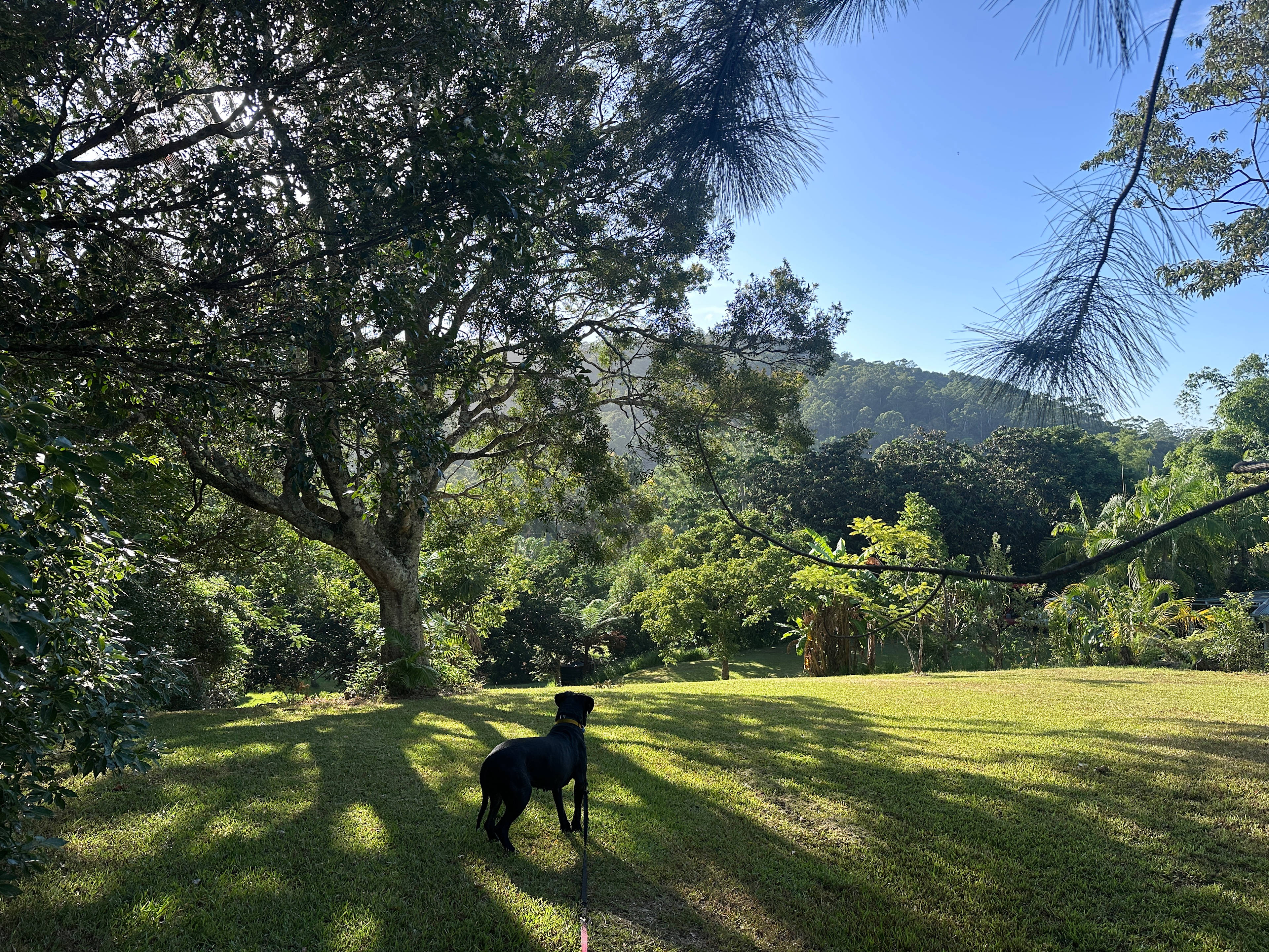 Burringbar Camping - The Haven