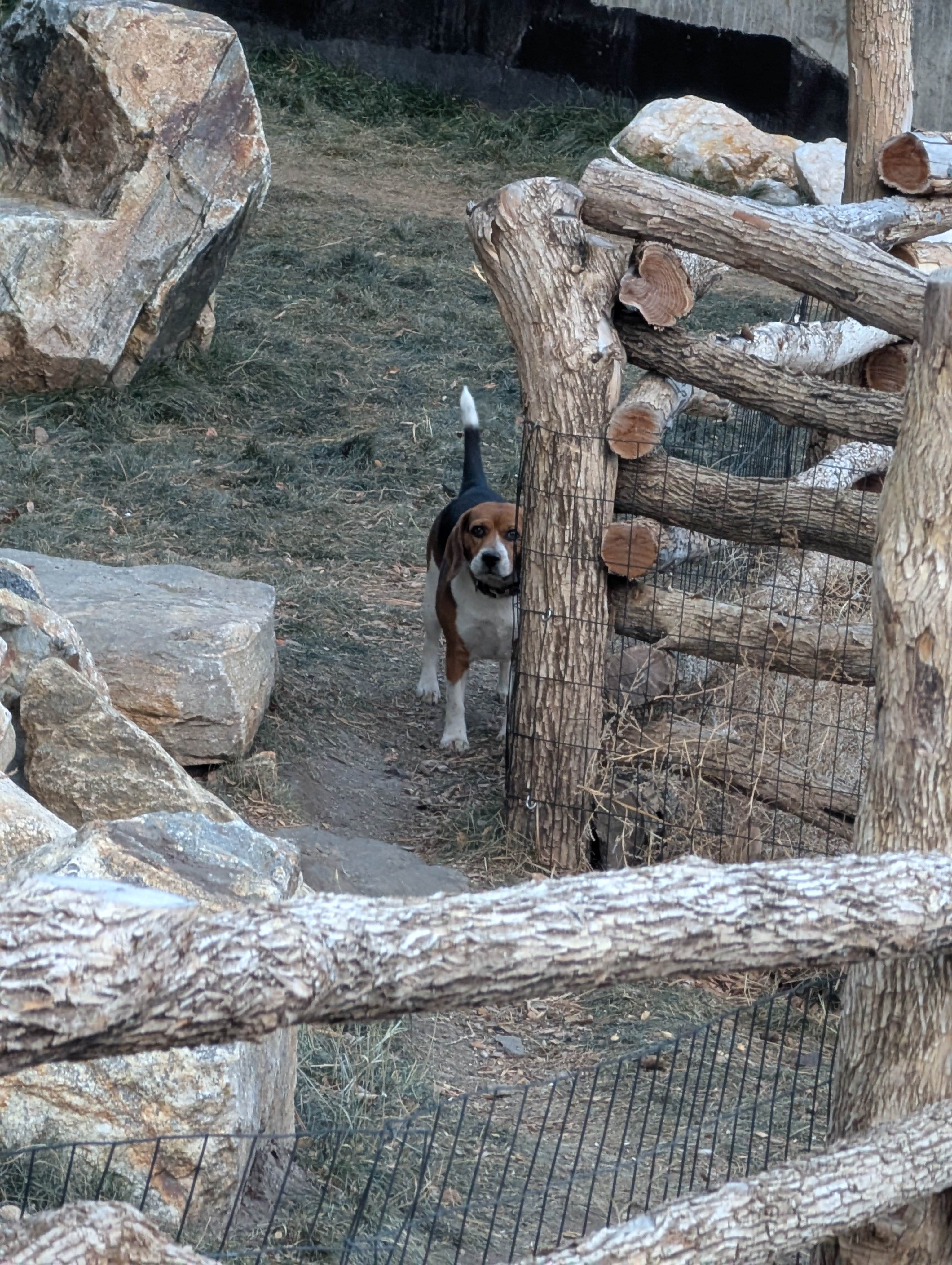 Idaho Springs RV Resort Campground
