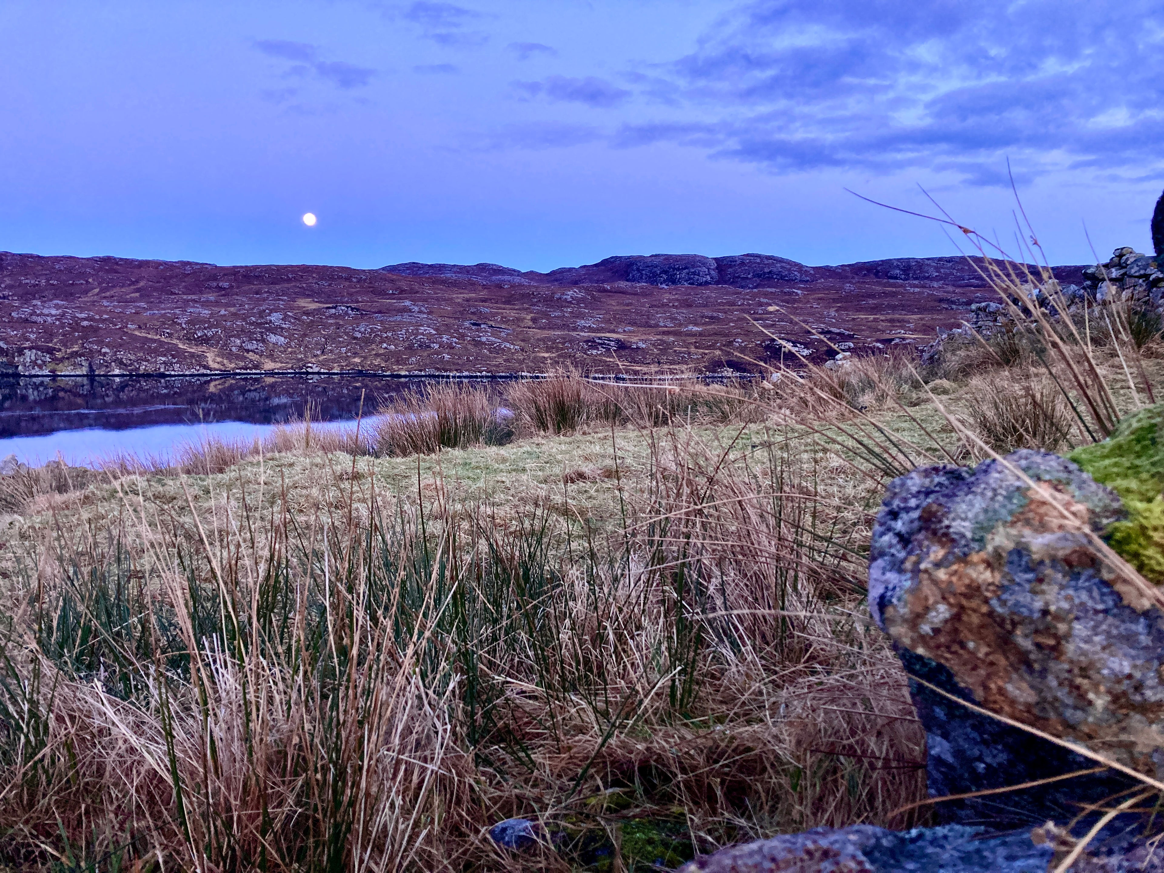 Croft 5 - Exclusive Wilderness Camp