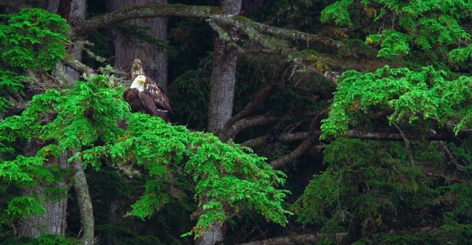 Field Sites & Secluded Tent Sites