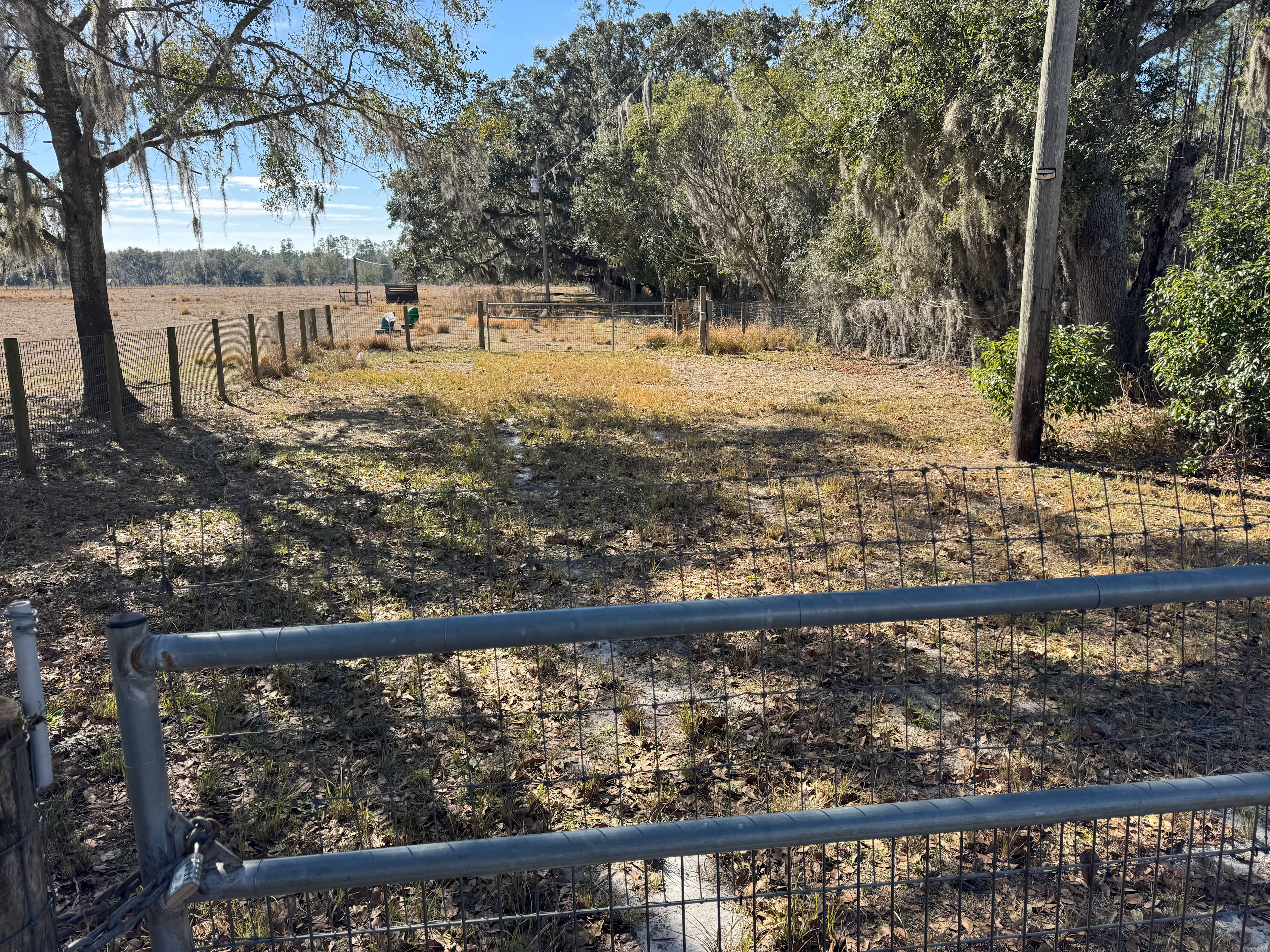 The Shepherd’s Meadow Farm