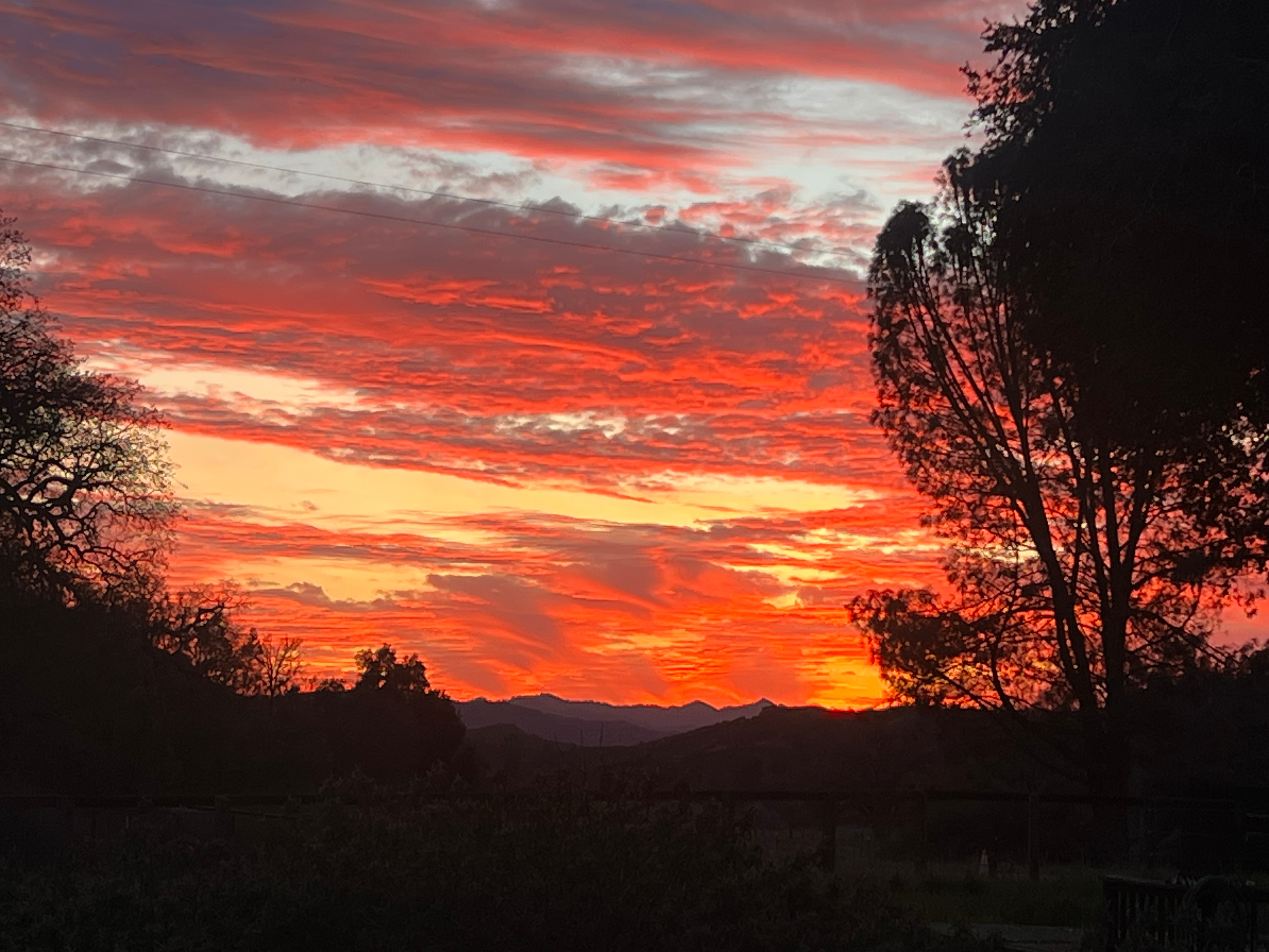 Dust Cloud Ranch – Sycamore Grove C