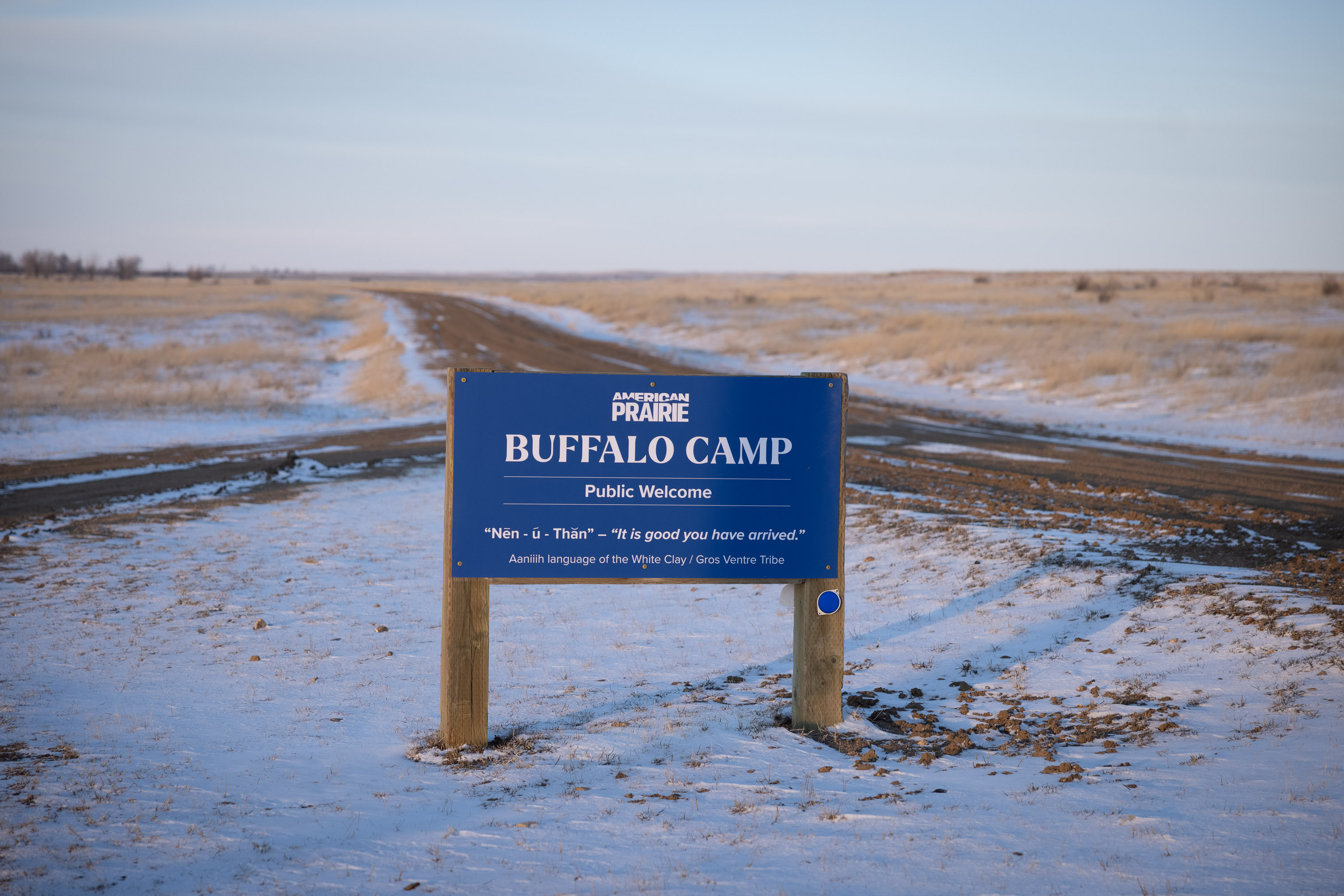 American Prairie Buffalo Camp