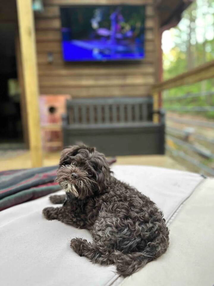 Creekside Cabin - Lake Hartwell
