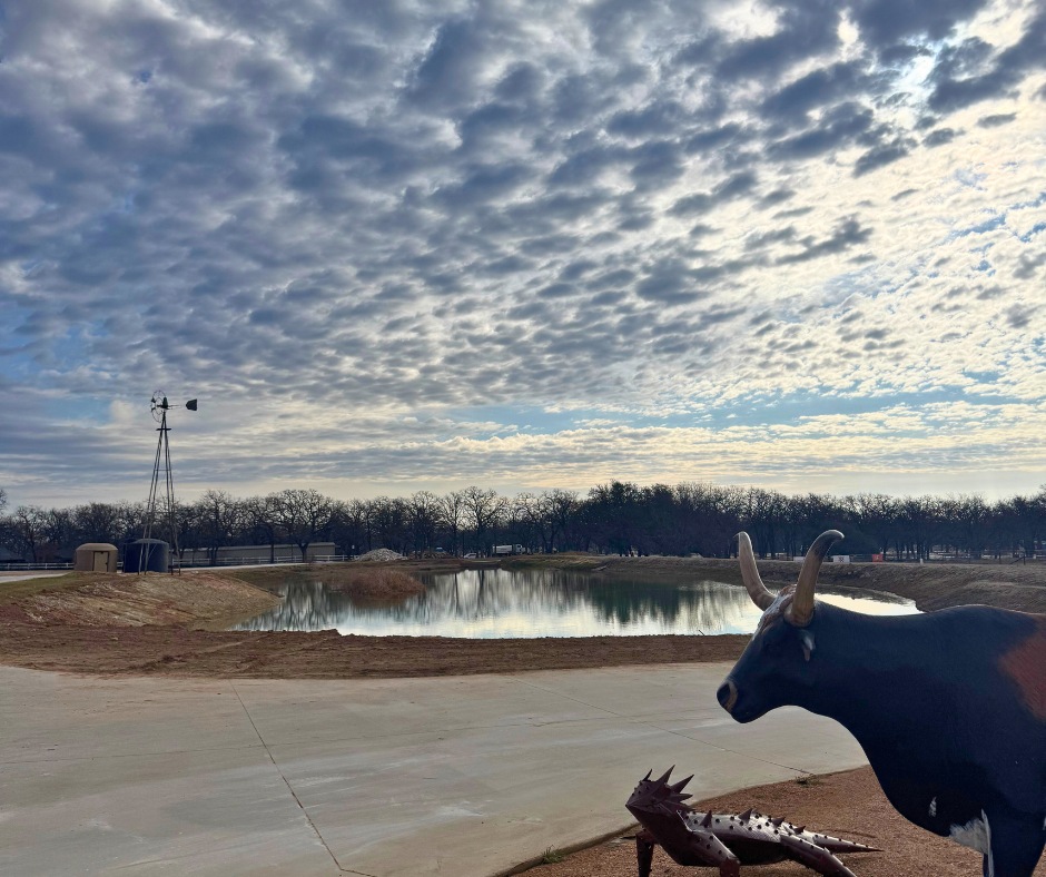 Legacy Longhorn Ranch and RV