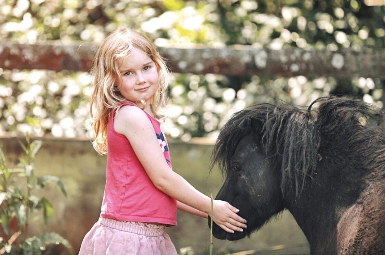Yarramalong Valley Horse Farmstay