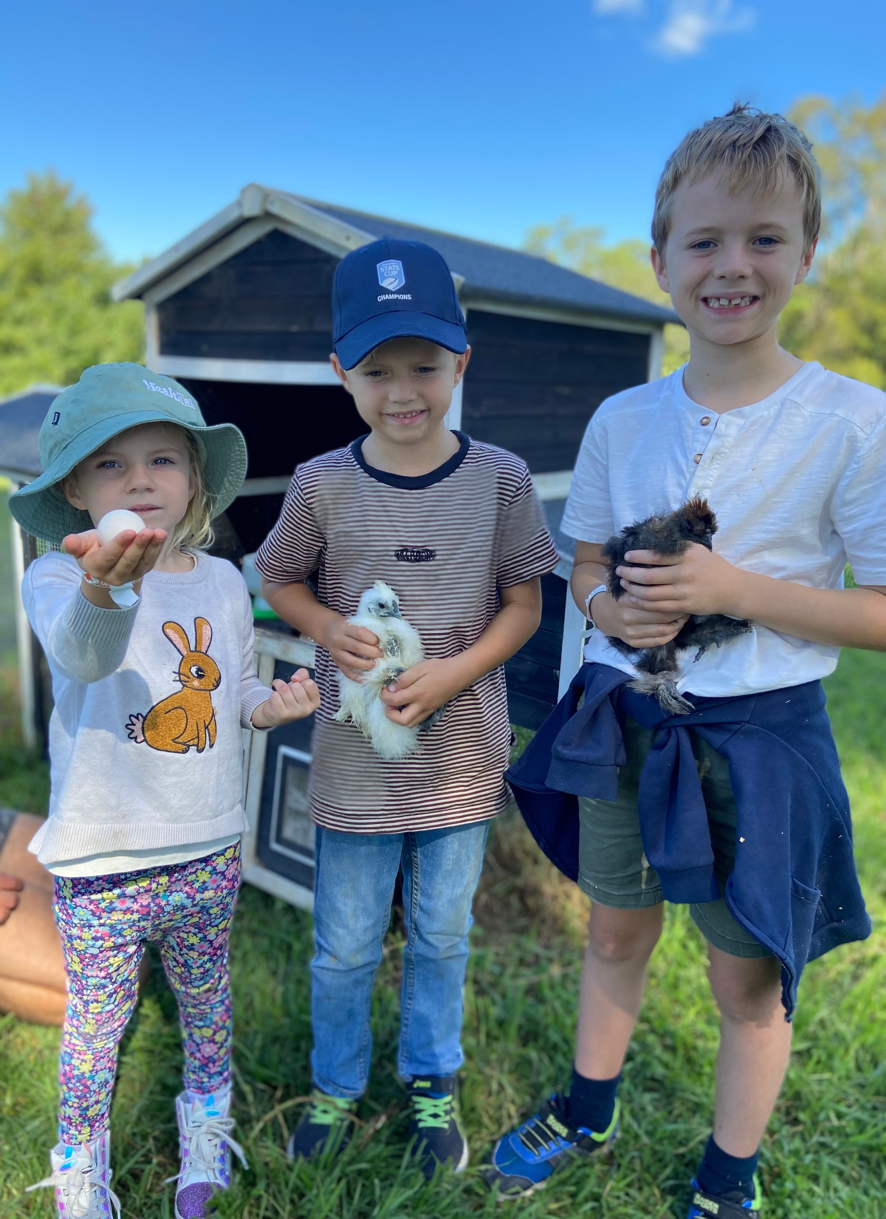 Yarramalong Valley Horse Farmstay