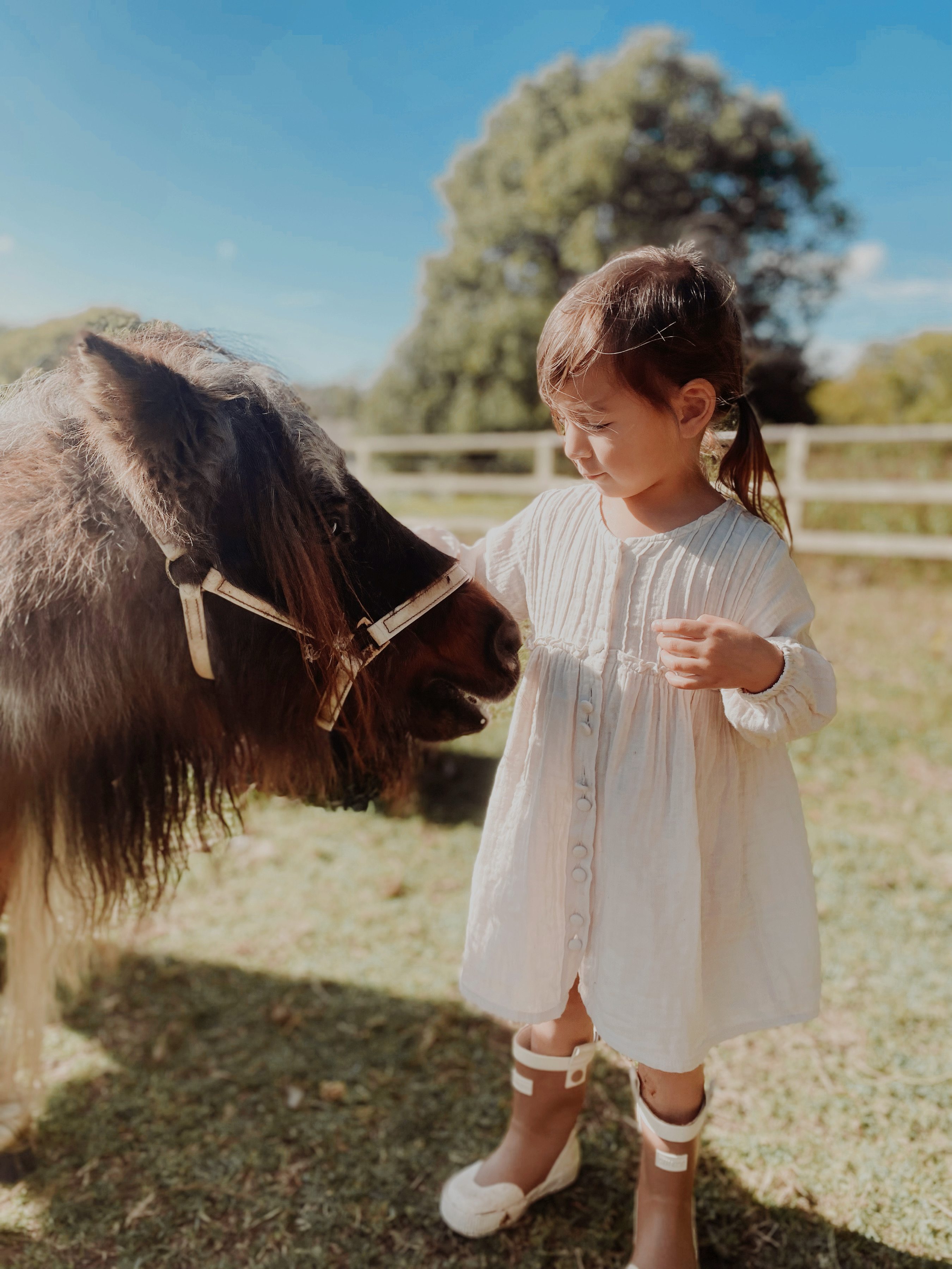 Yarramalong Valley Horse Farmstay