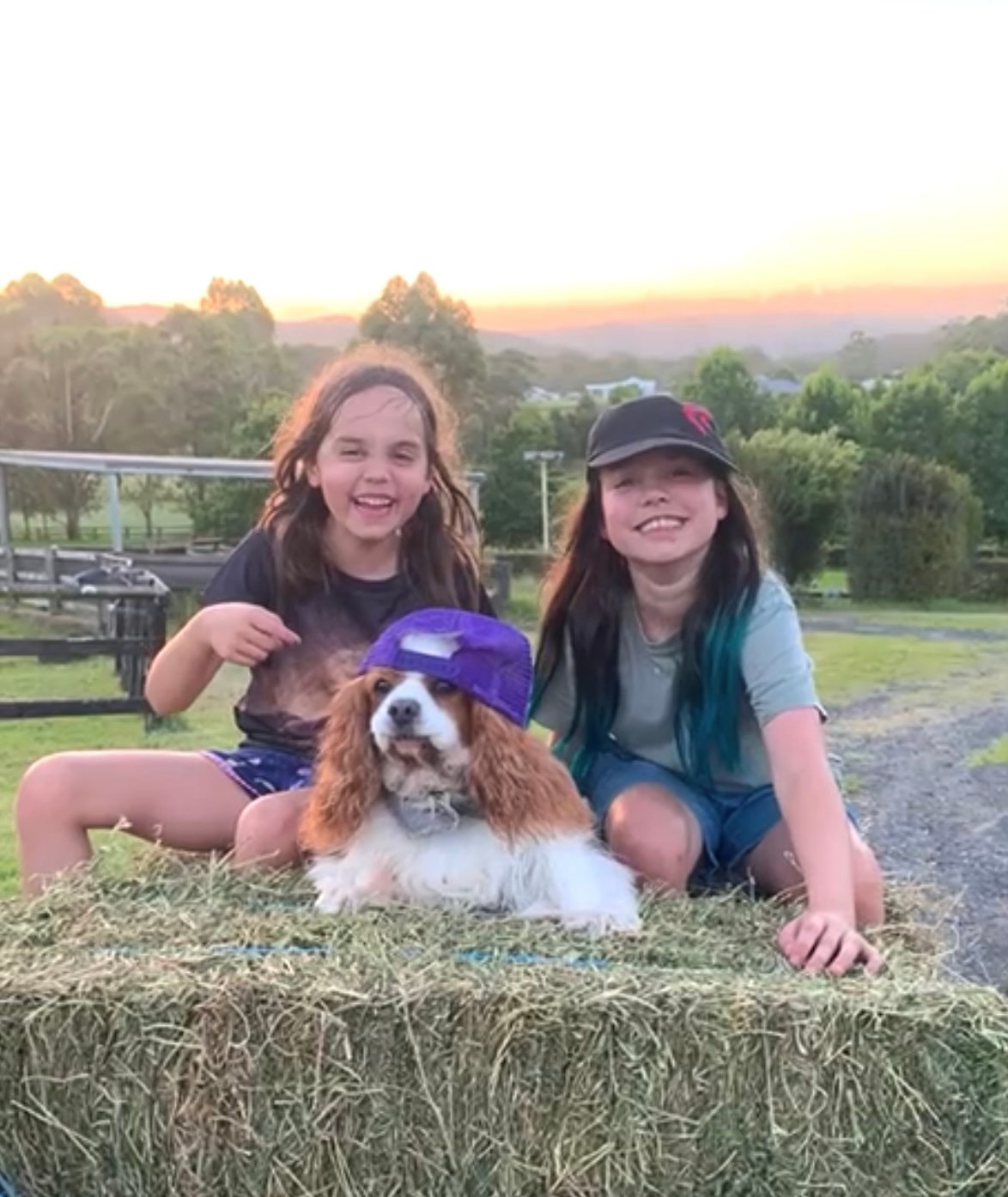 Yarramalong Valley Horse Farmstay