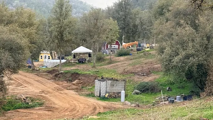 Camp ikigai Animal Sanctuary 501c3