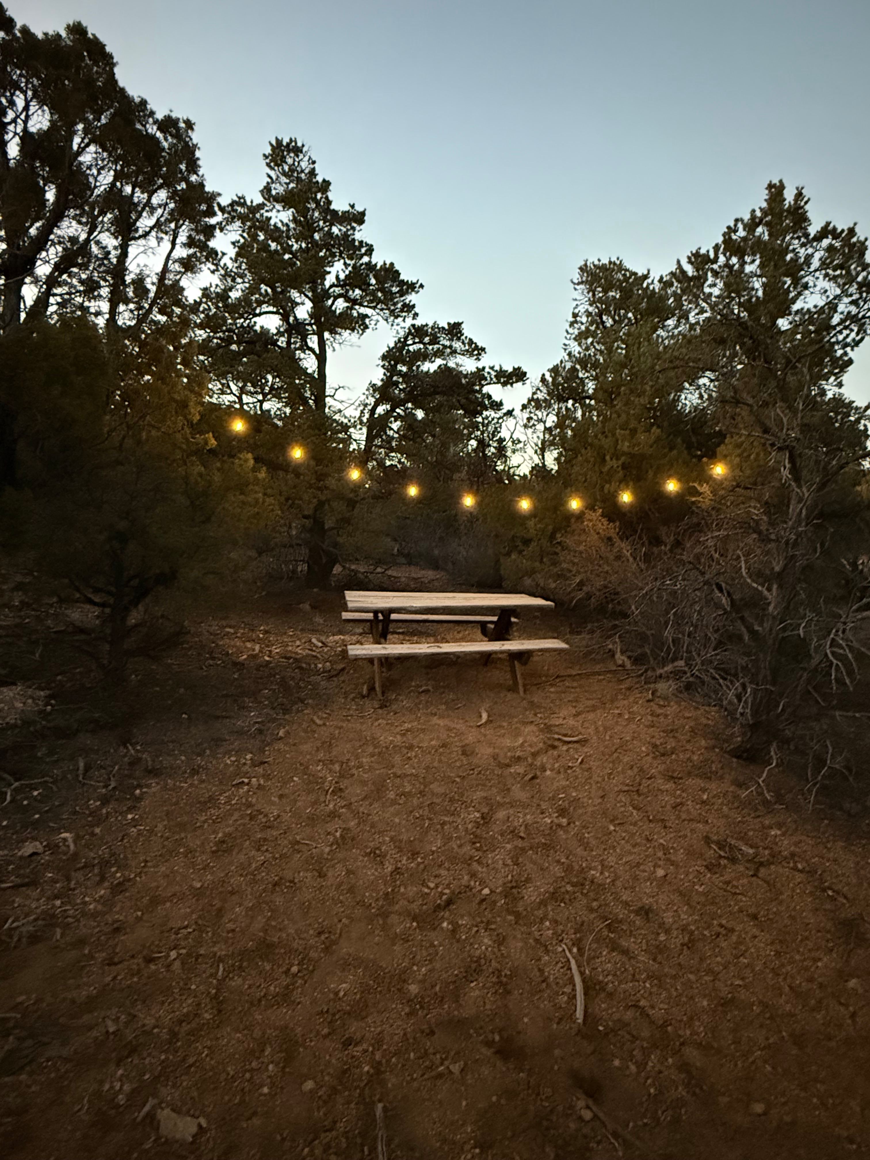 Cedar Camp Out Haven