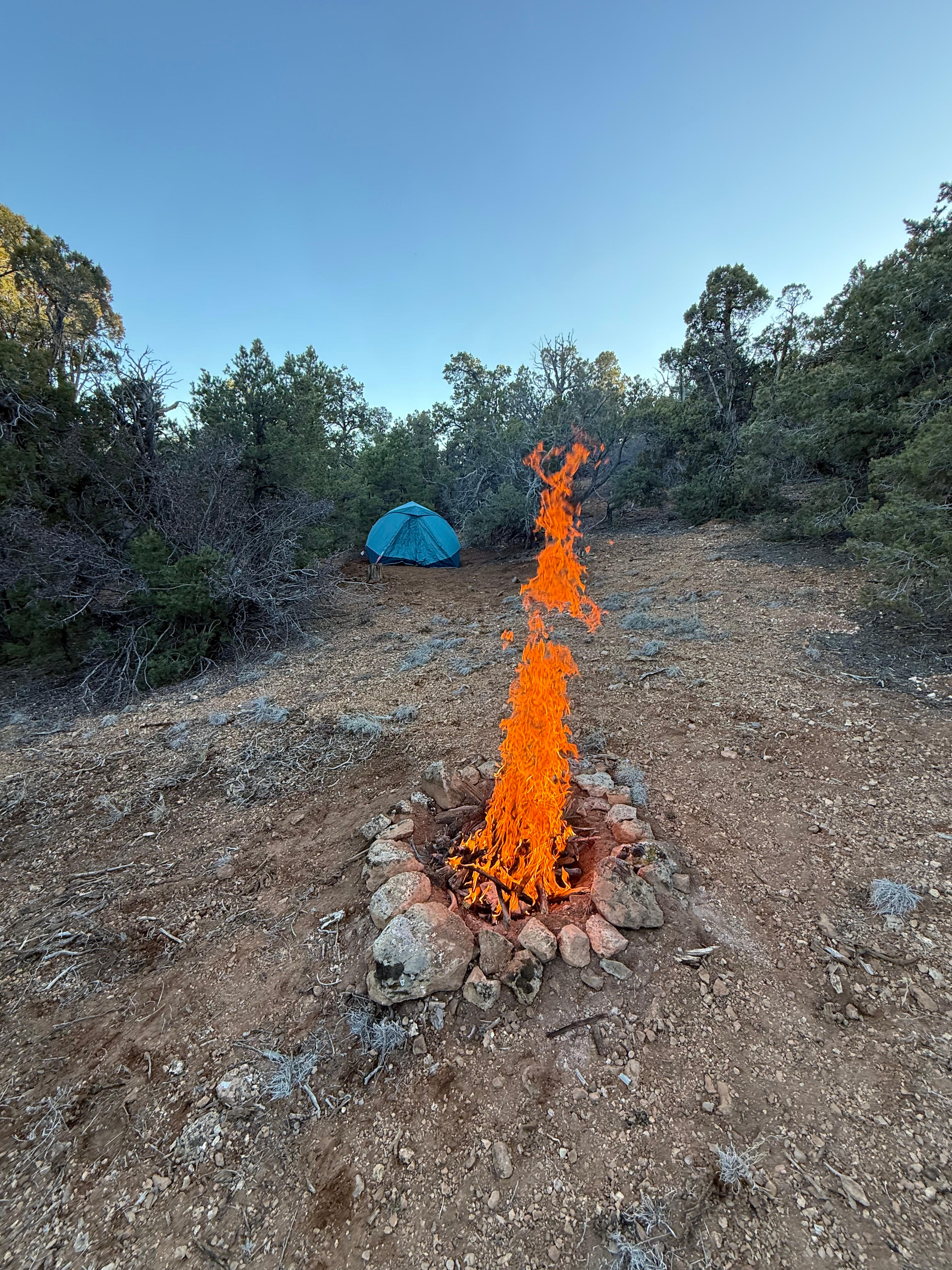 Cedar Camp Out Haven
