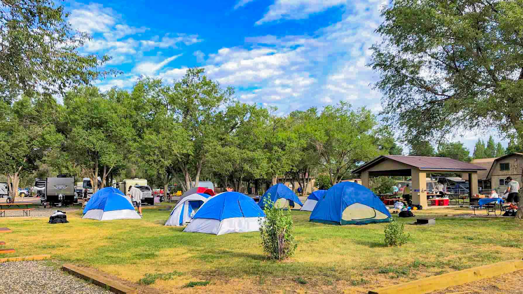 Dixie Forest RV Resort