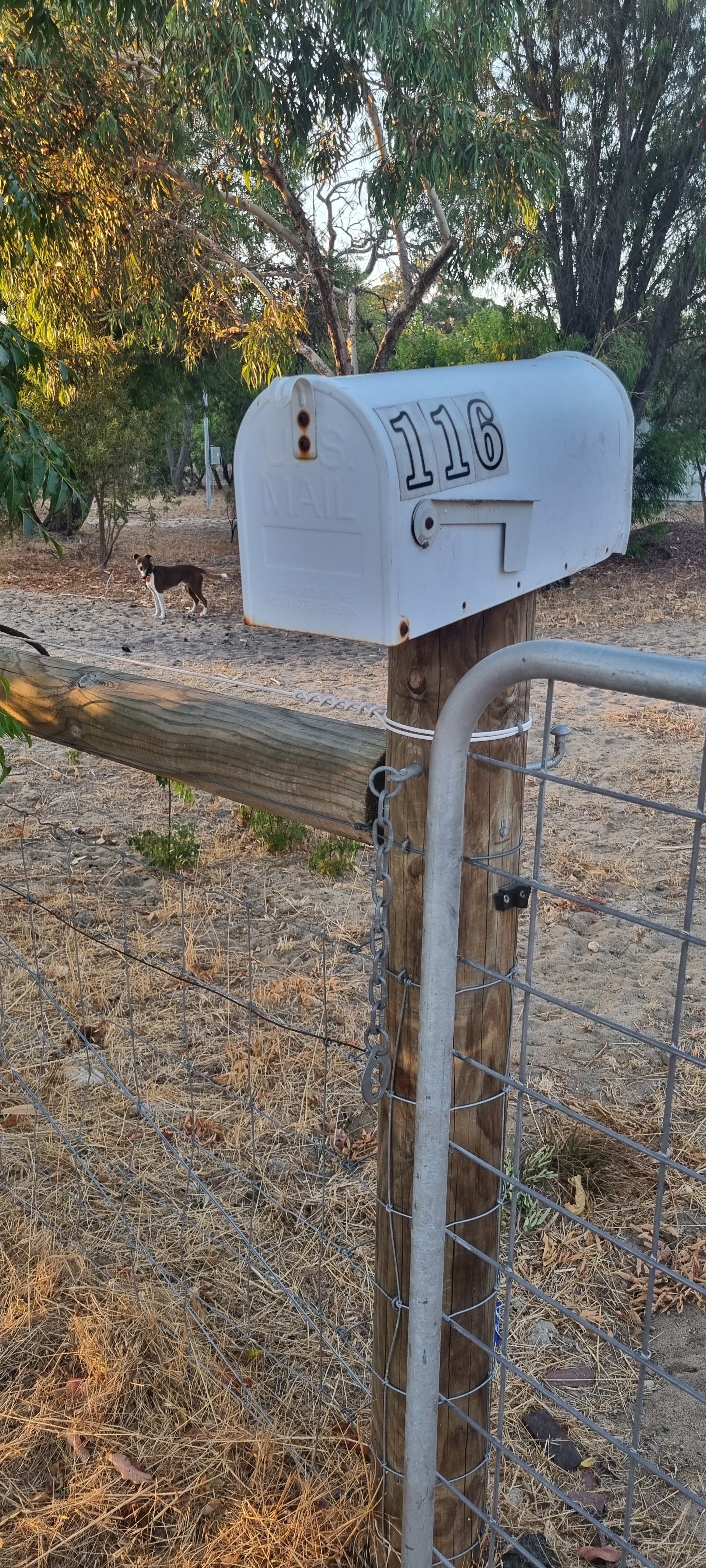 Paws & Feathers Farm