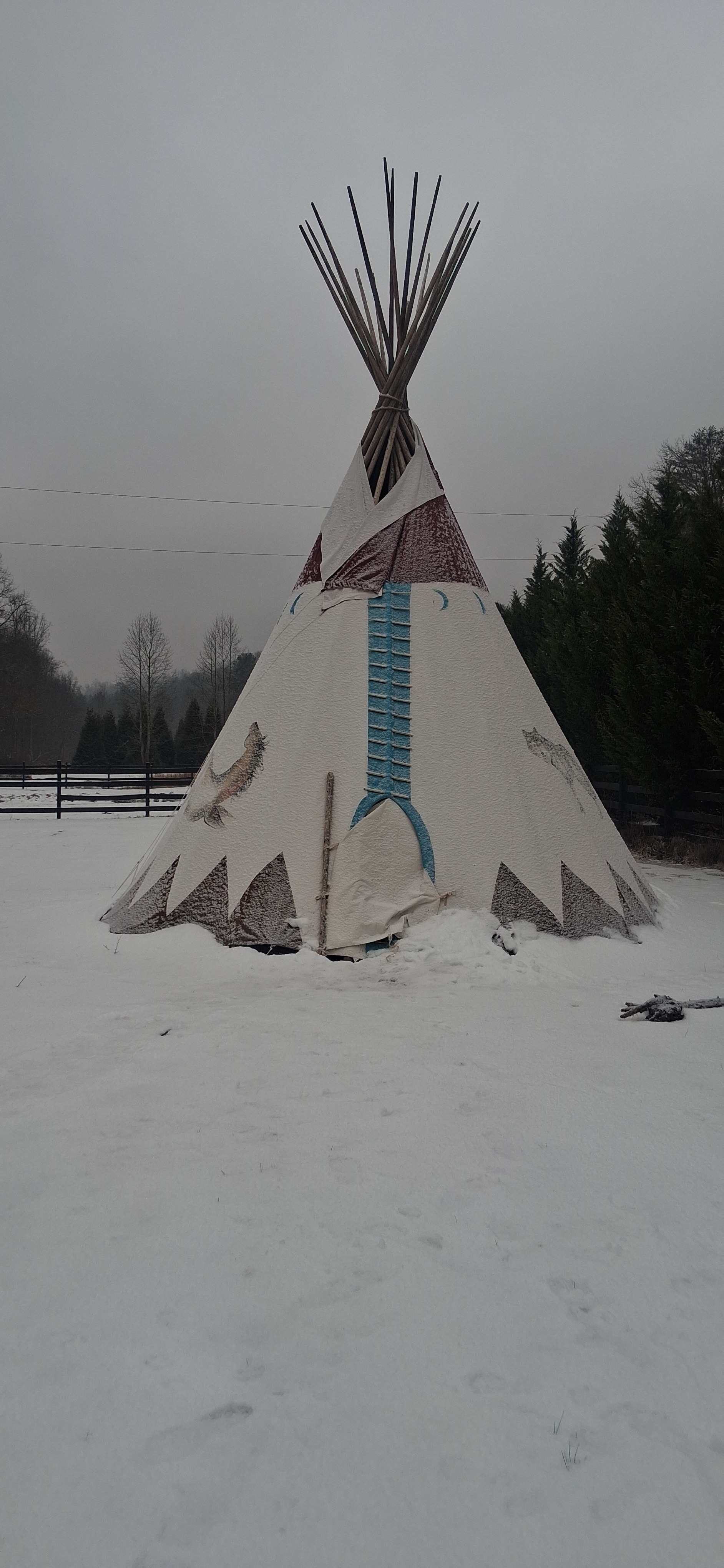 Native Gypsy Vanners Camping