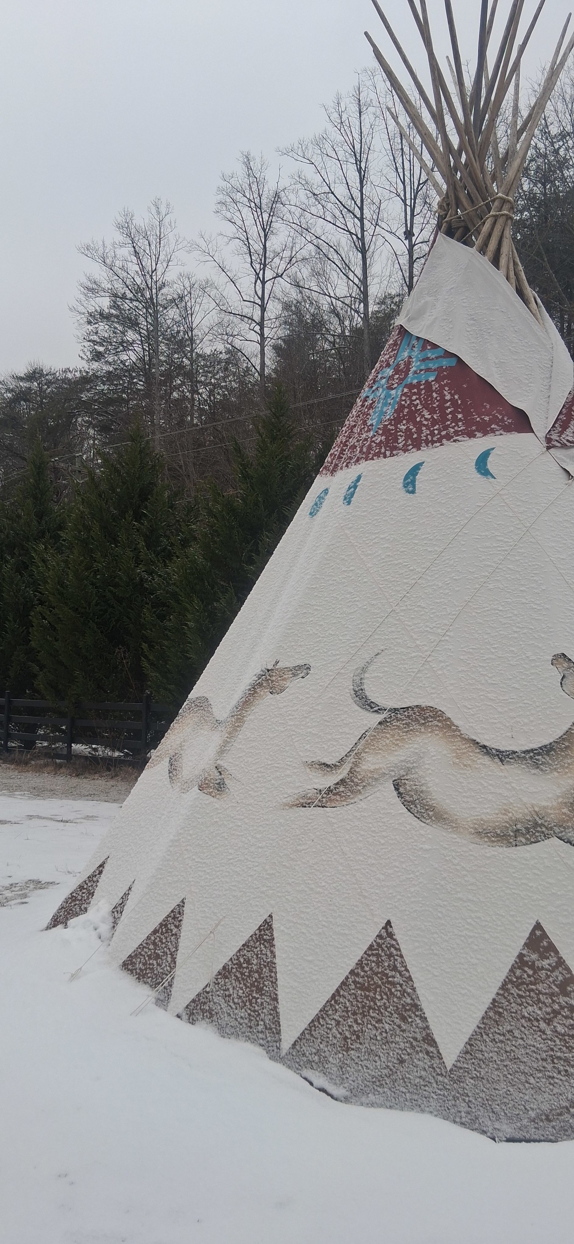 Native Gypsy Vanners Camping