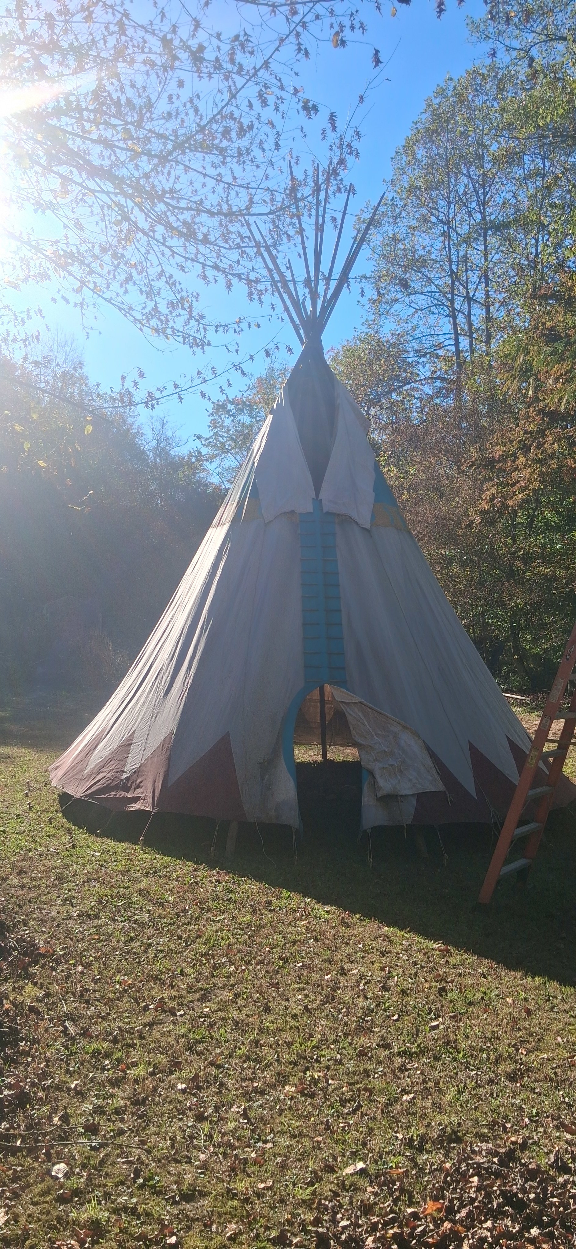 Native Gypsy Vanners Camping