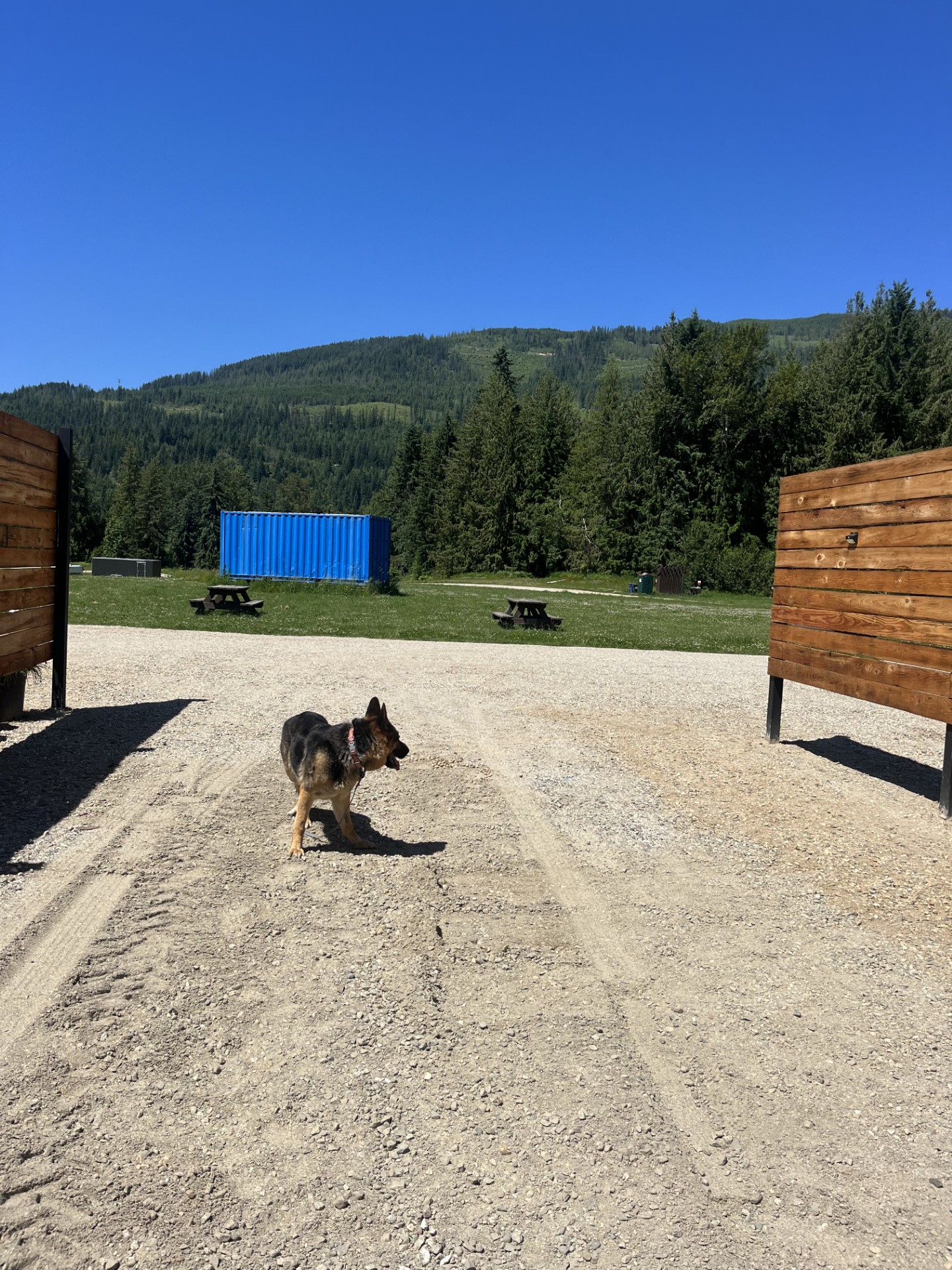 Hangin' Loose in Sicamous U Pick