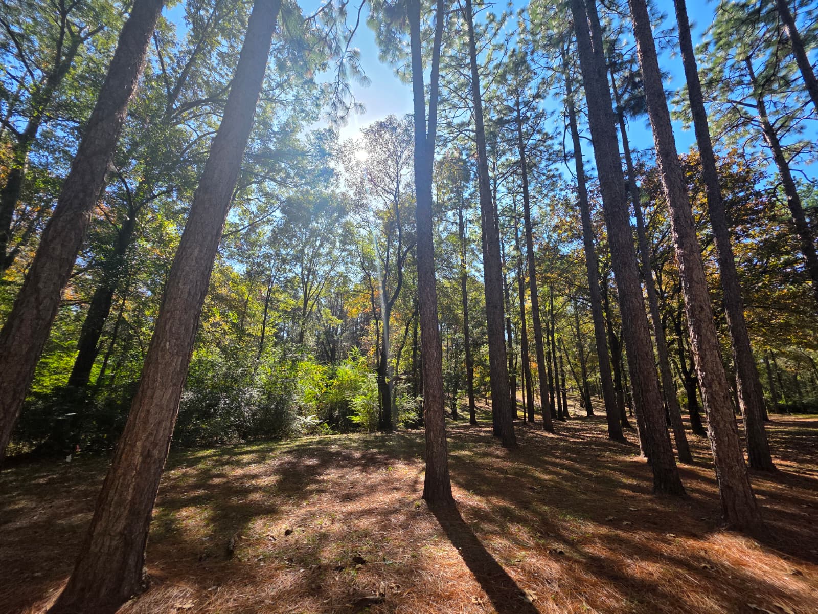 LUXOR RETREAT, STUDIO & EVENT SPACE