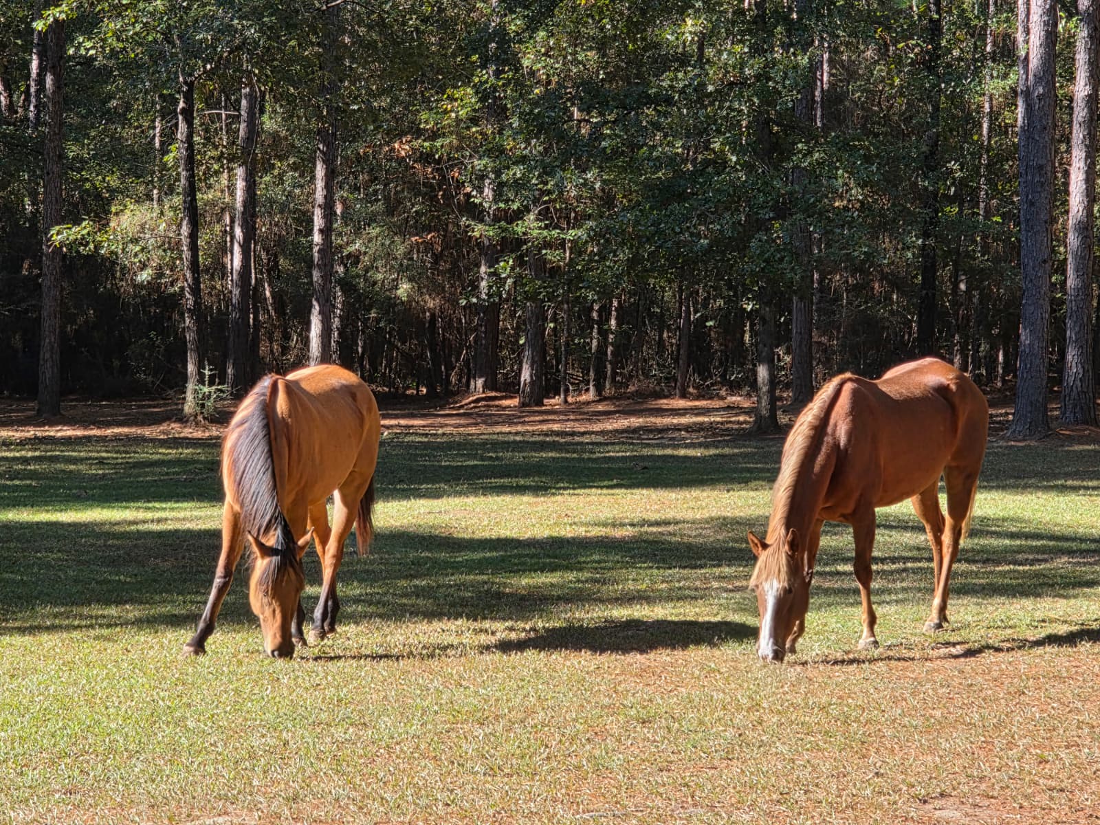 LUXOR RETREAT, STUDIO & EVENT SPACE