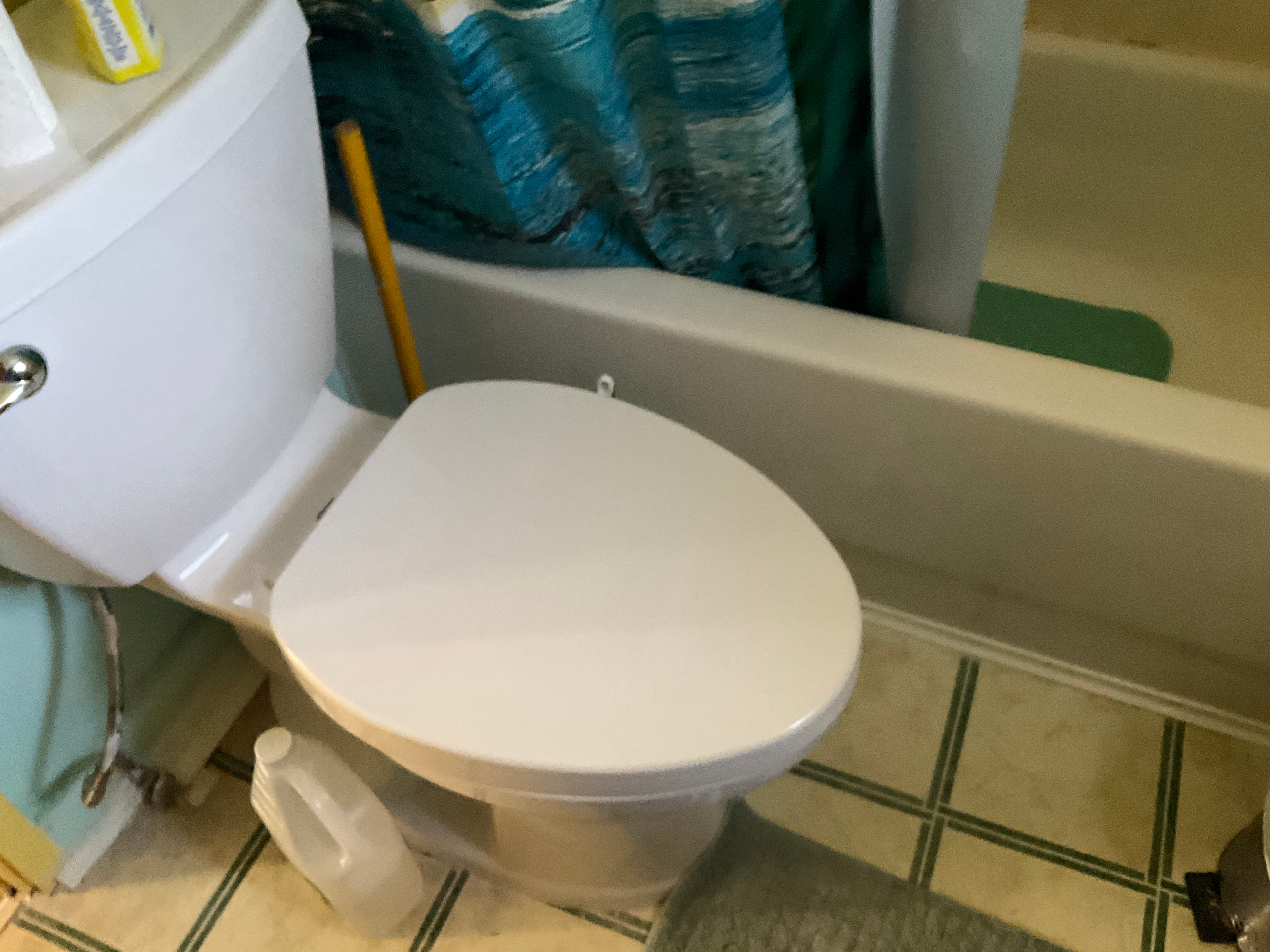 Toilet and shower in main ho