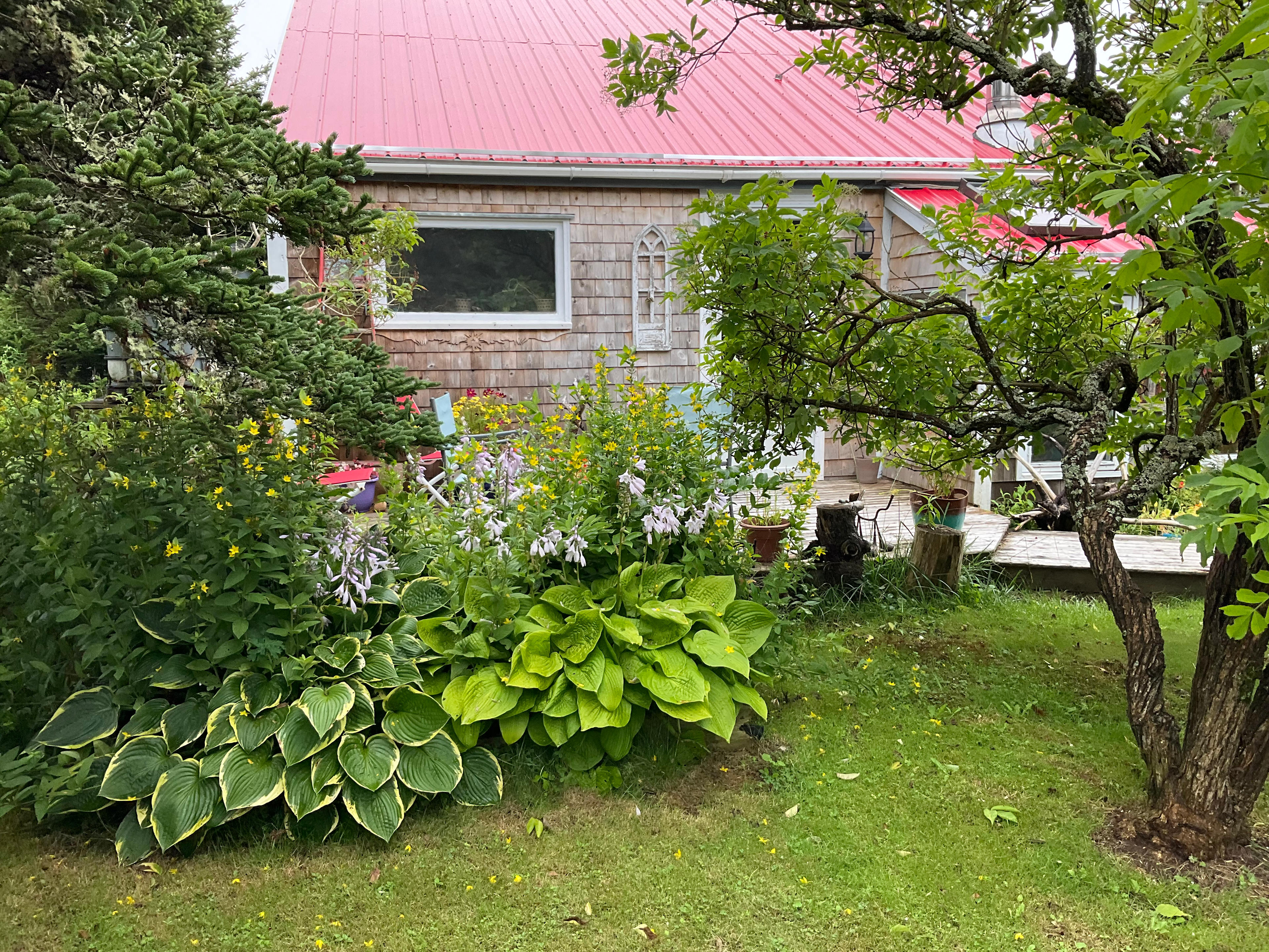 Surf cabin on Atlantic Nova Scotia