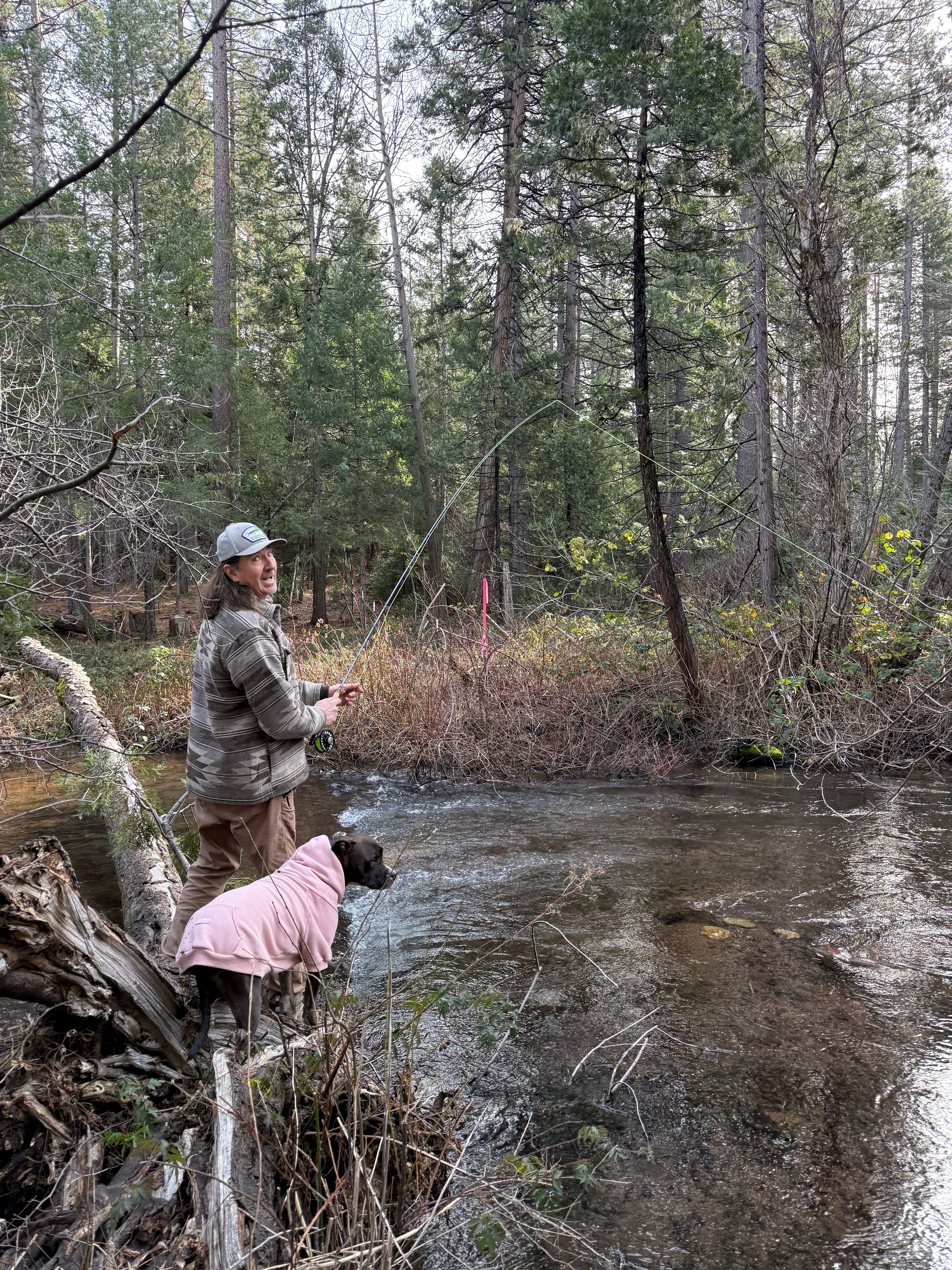 Bigfoot Lodging Vacation Rentals