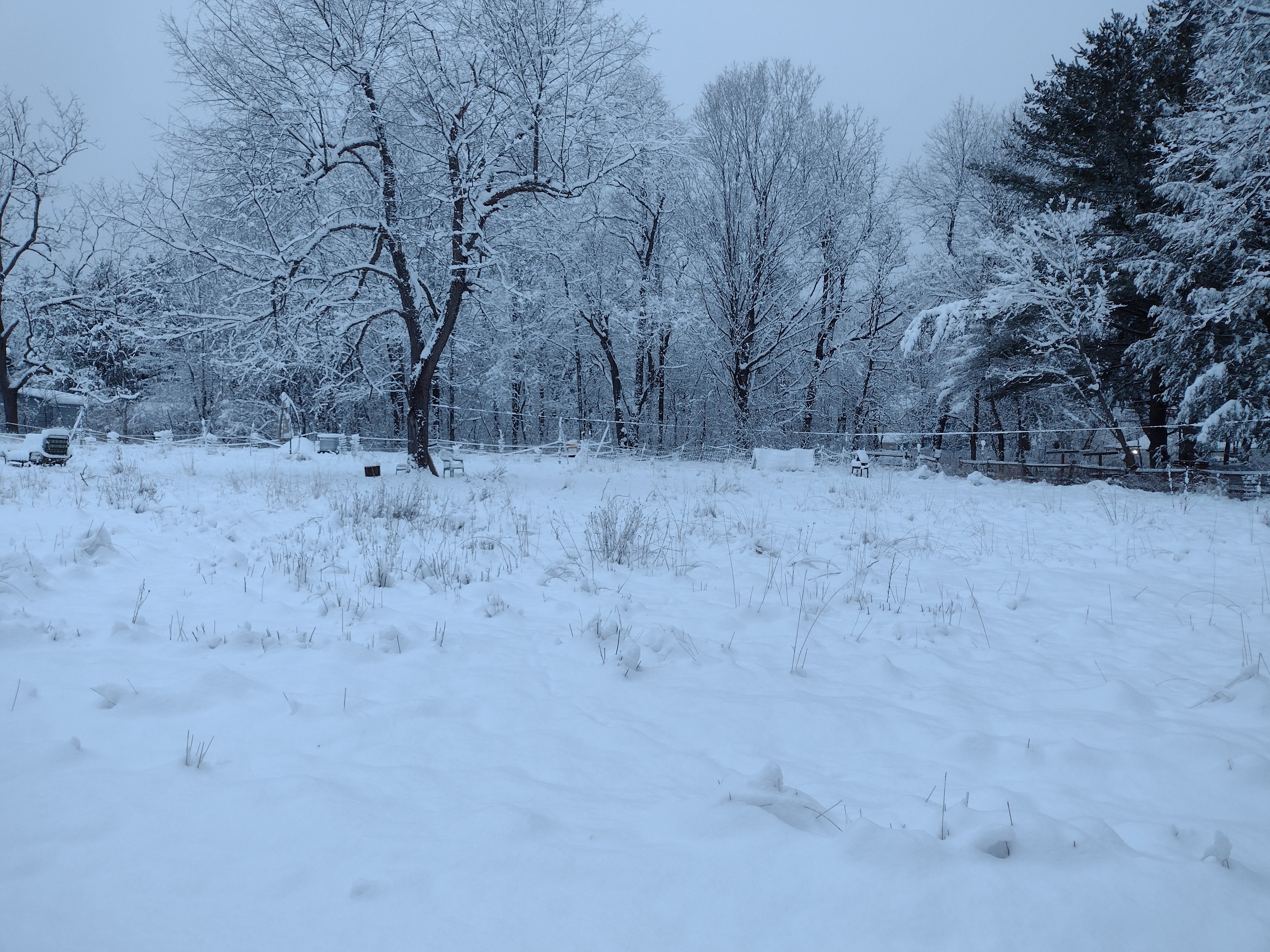 Luminosity homestead