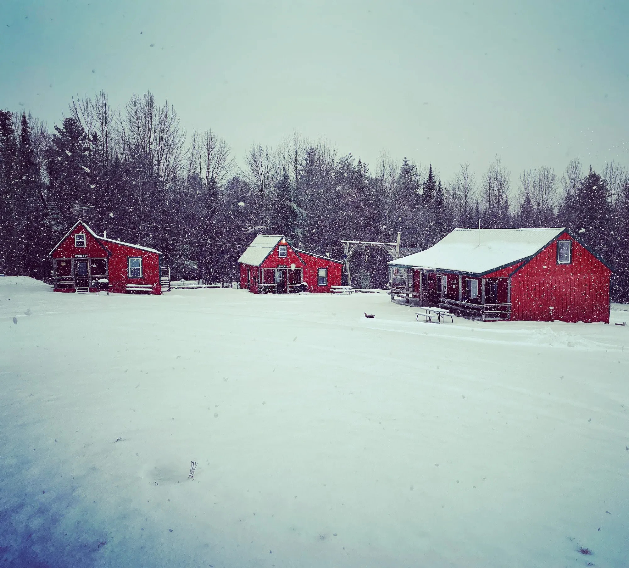 Pine Cone Acres Cabins