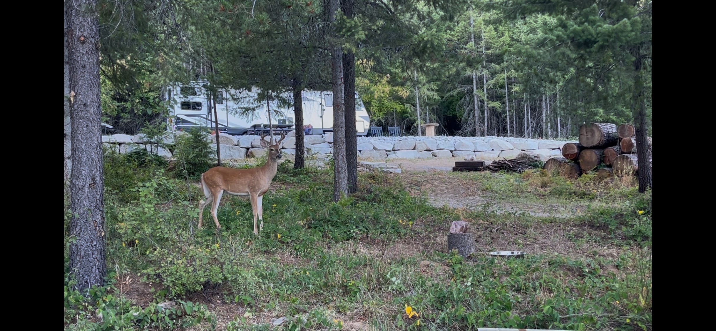 Quiet Summer RV Getaway in North ID