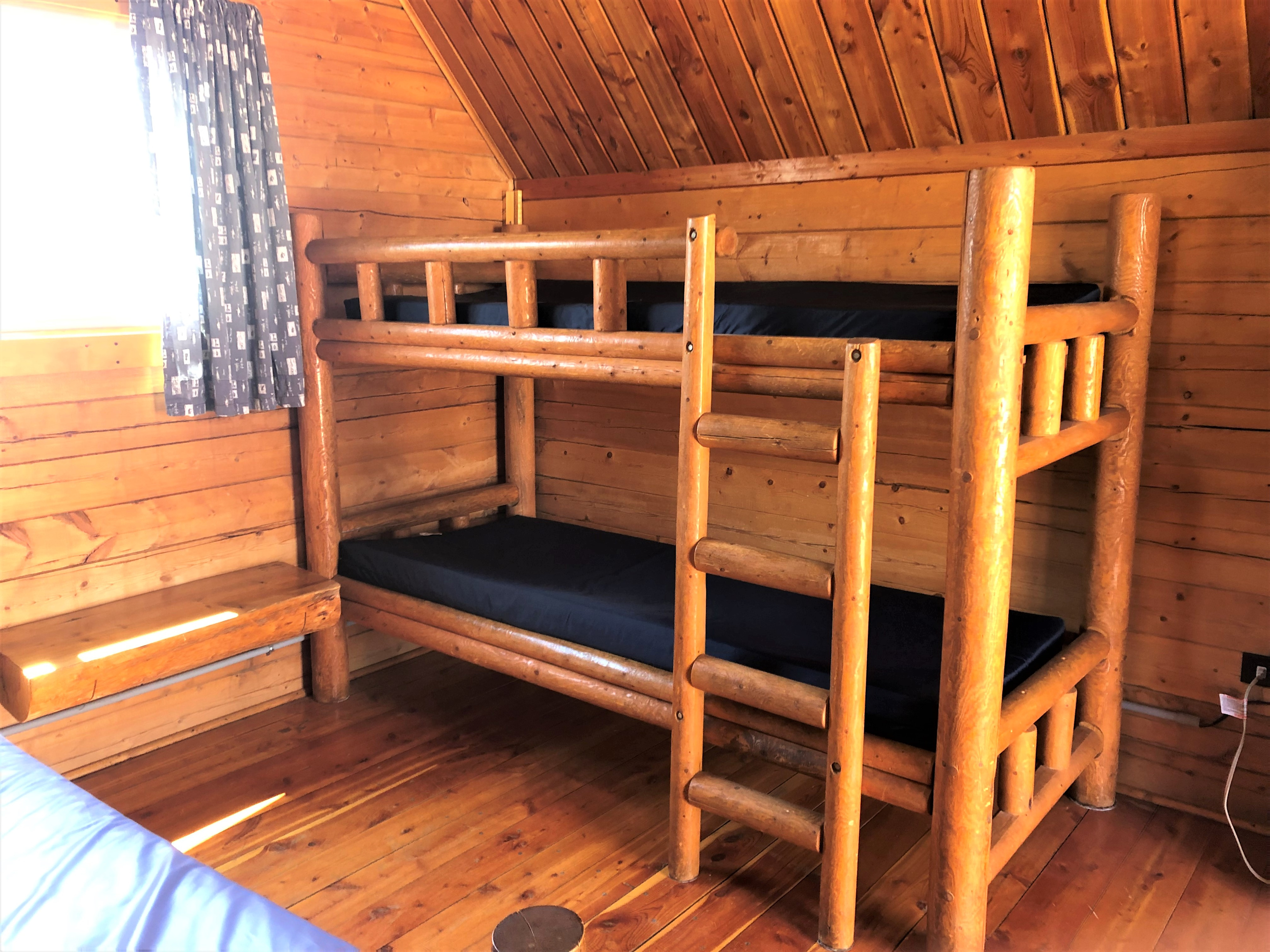 Dixie Forest RV Resort